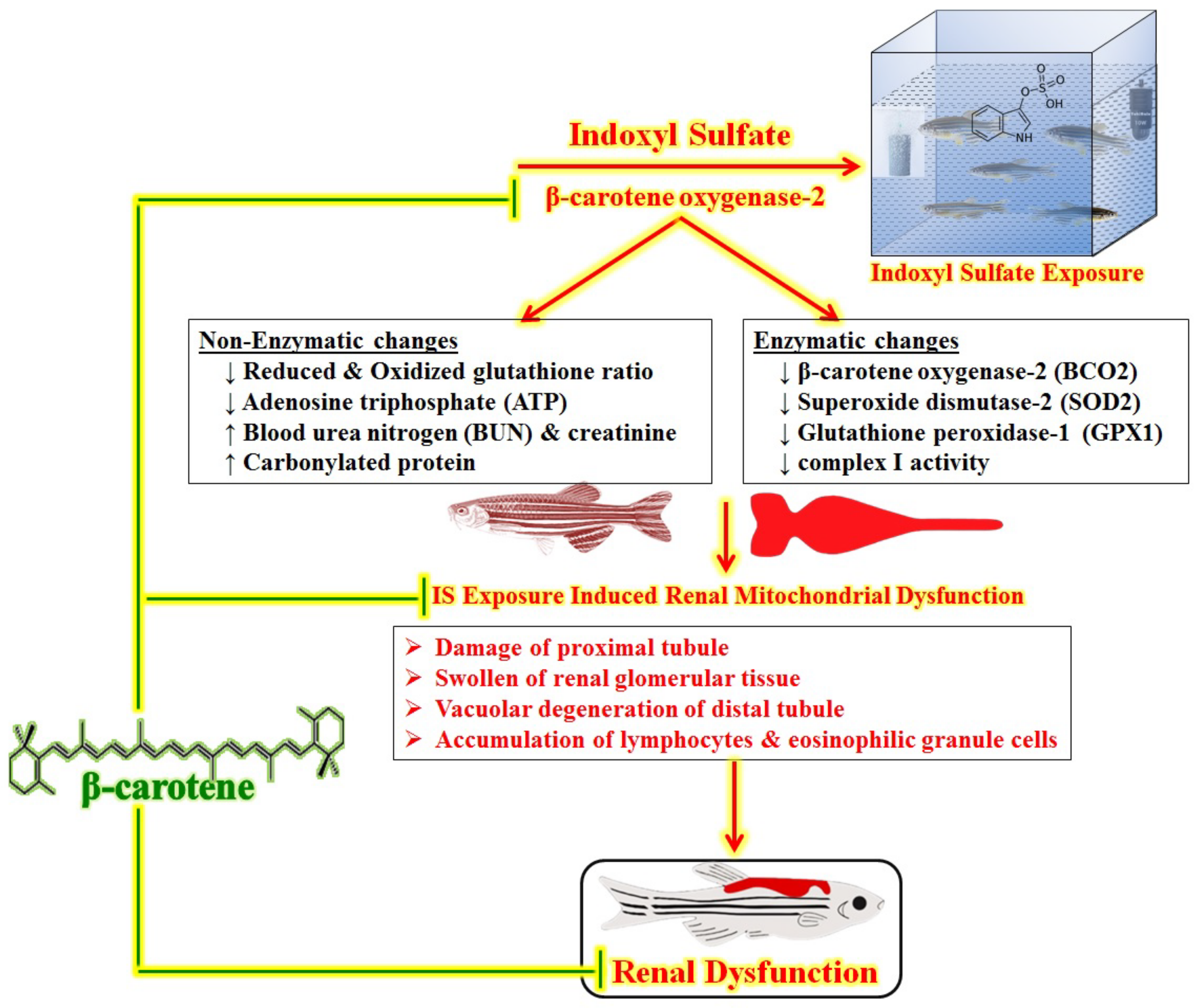 Biomedicines 11 02654 g002 Biomedicines 11 02654 g002
