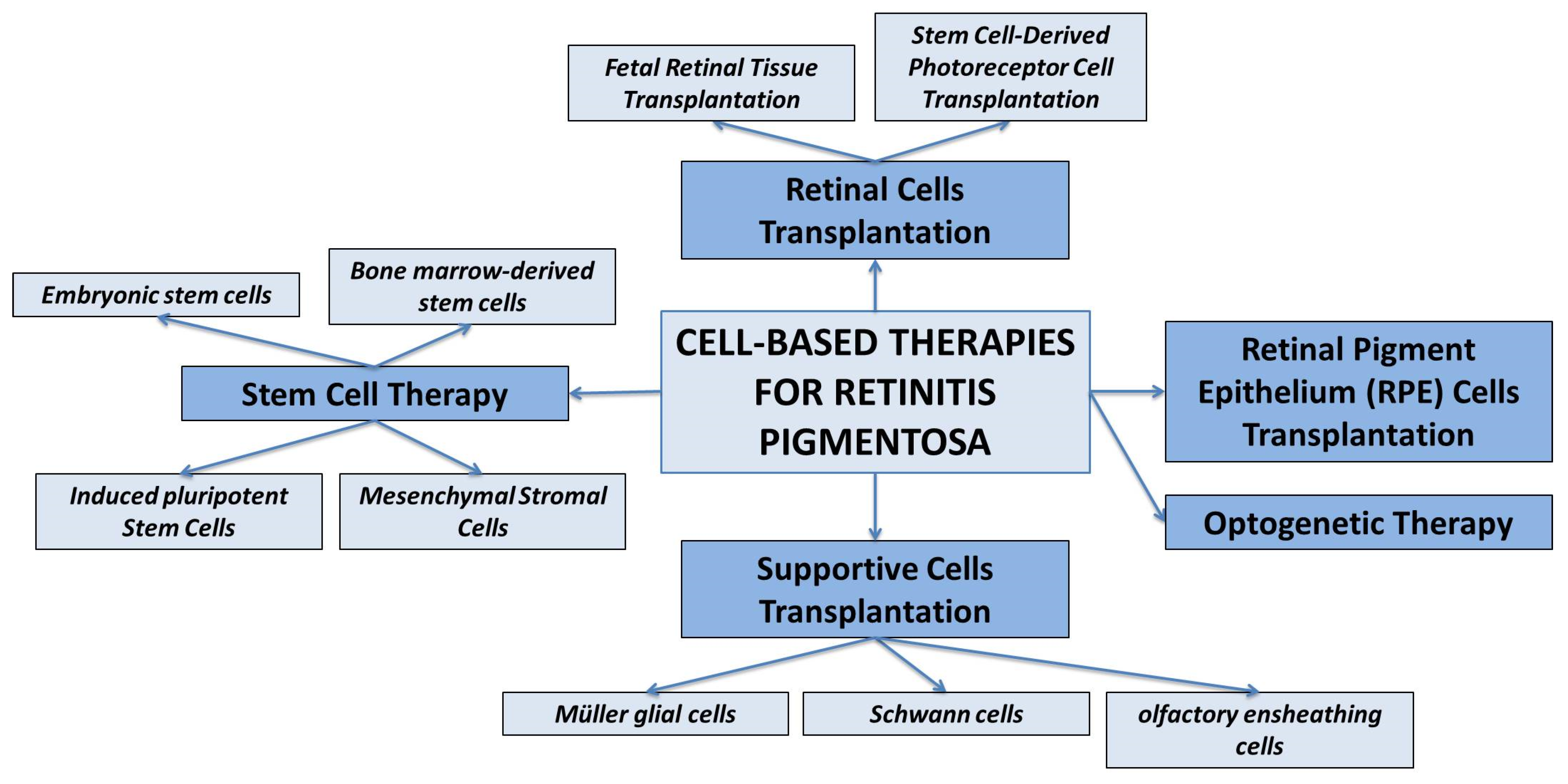 Biomedicines 11 02656 g003