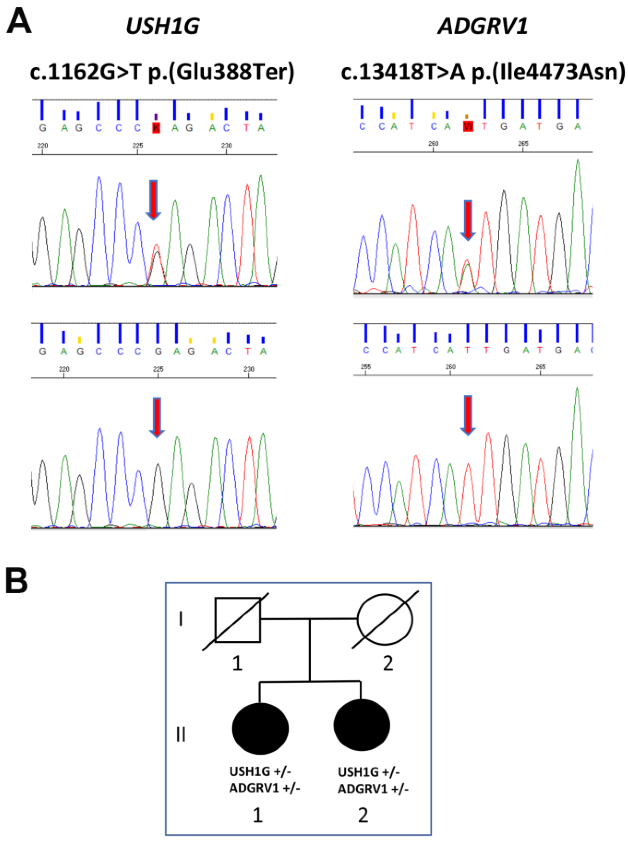 Biomedicines 11 02657 g002