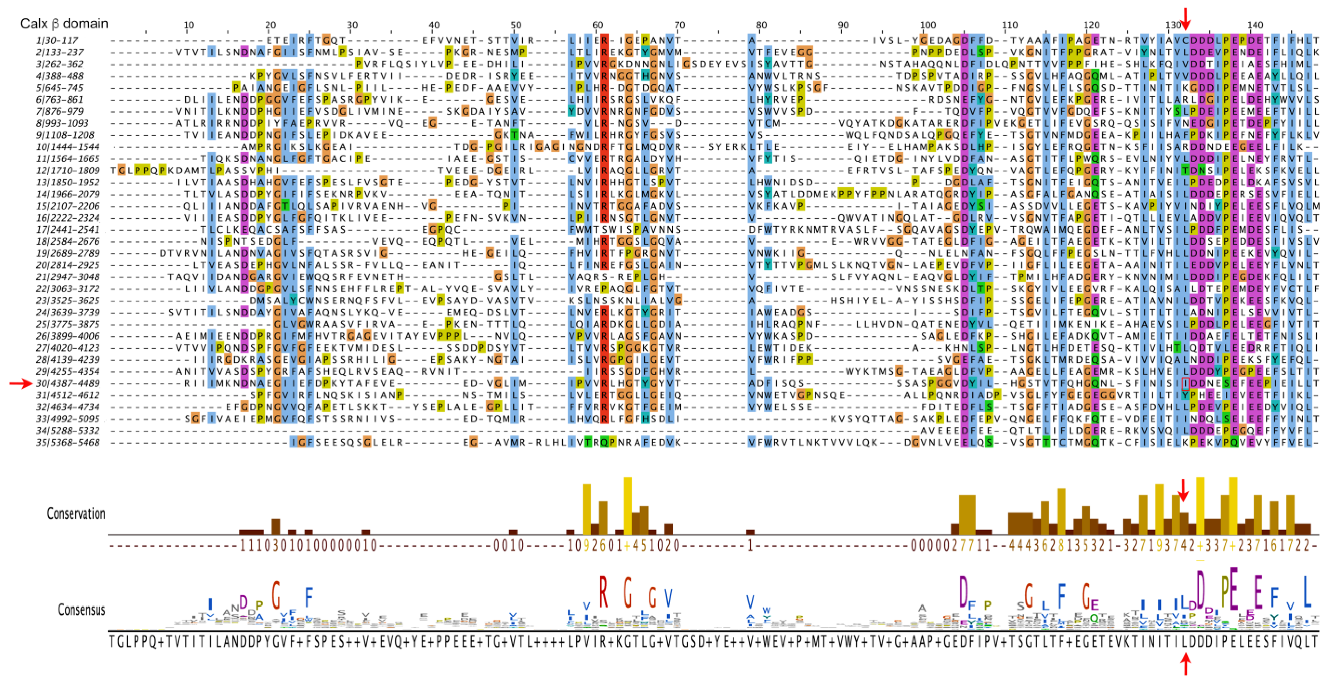 Biomedicines 11 02657 g004