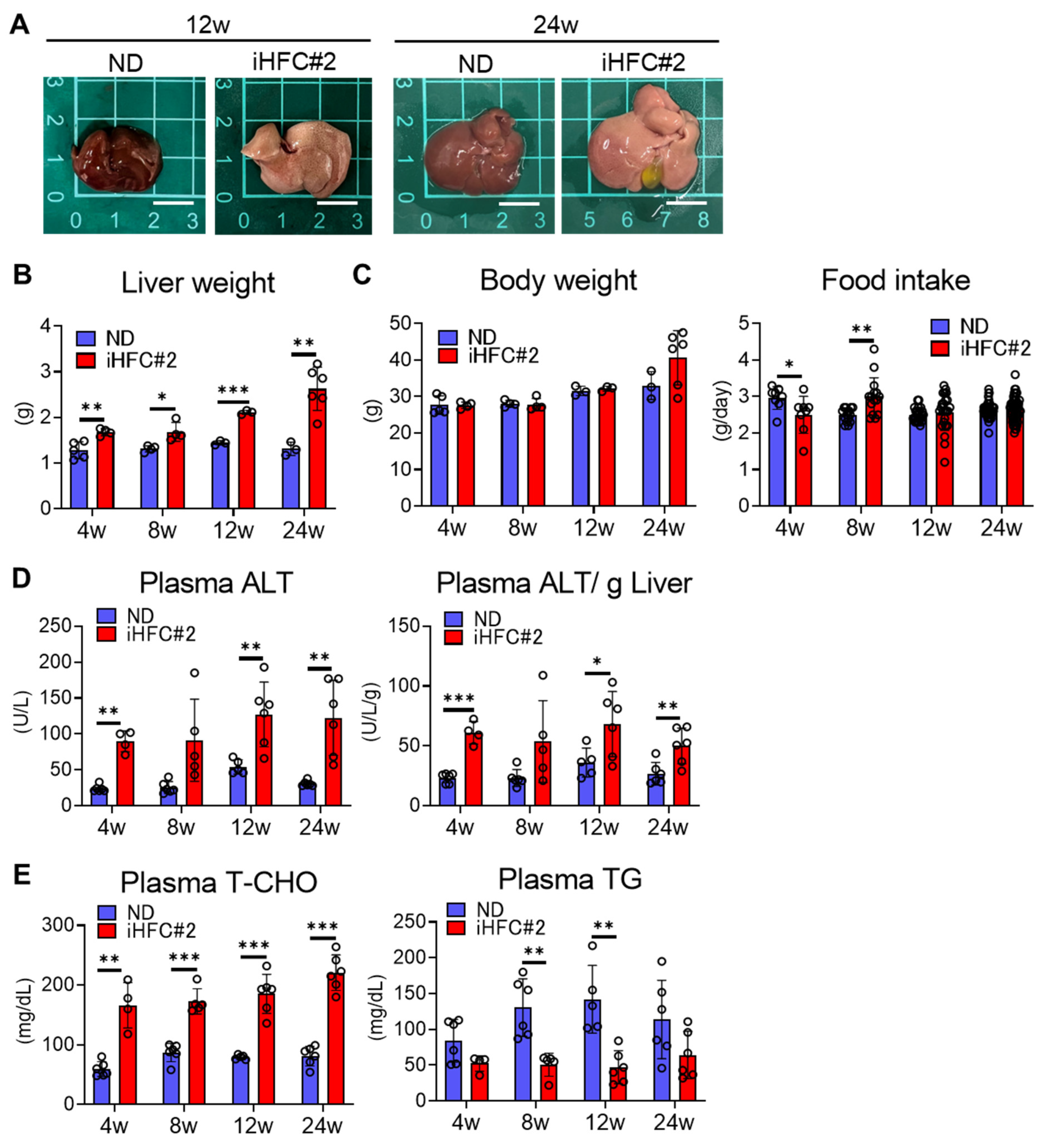 Biomedicines 11 02659 g001