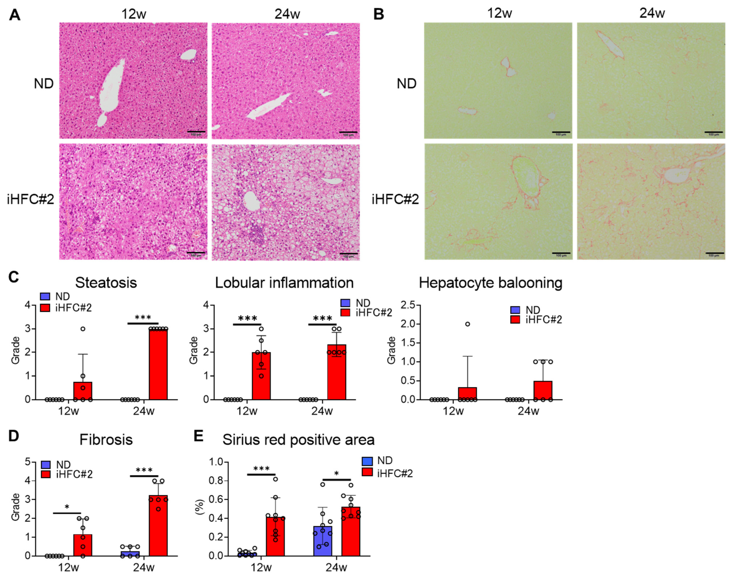 Biomedicines 11 02659 g002