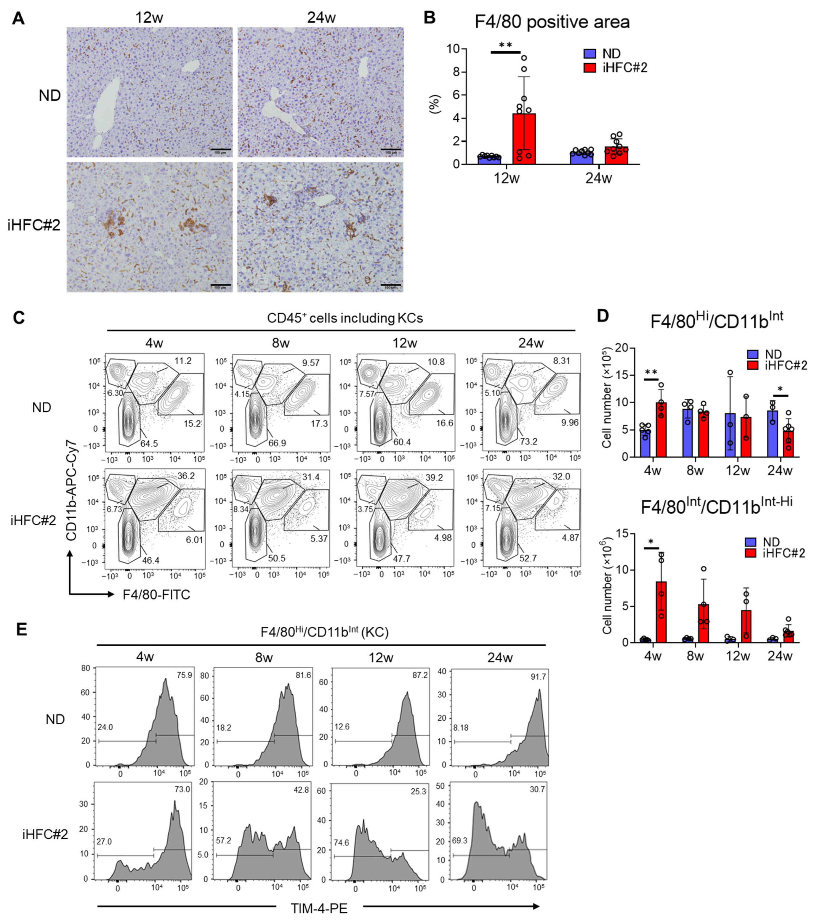 Biomedicines 11 02659 g005