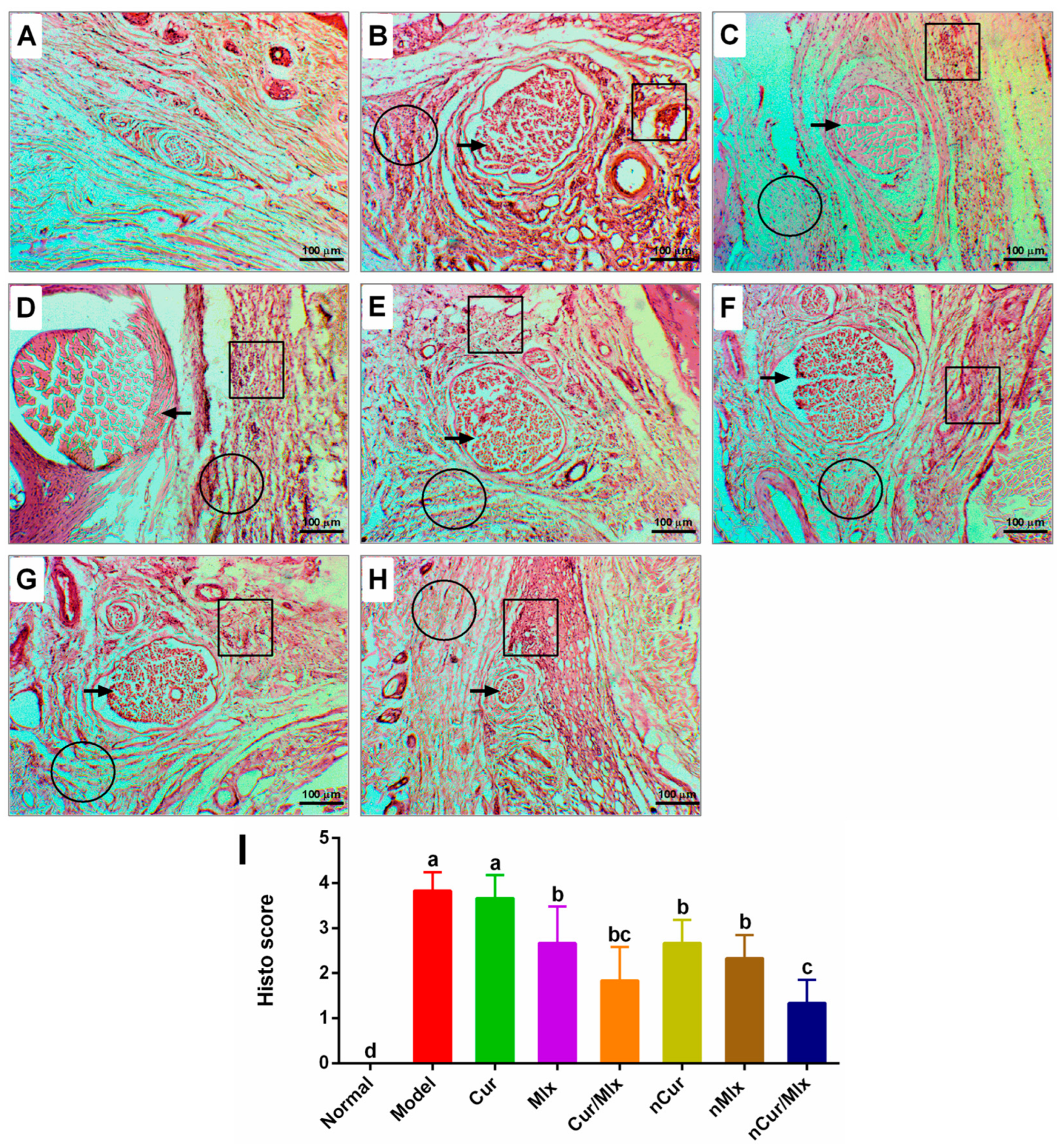 Biomedicines 11 02662 g008