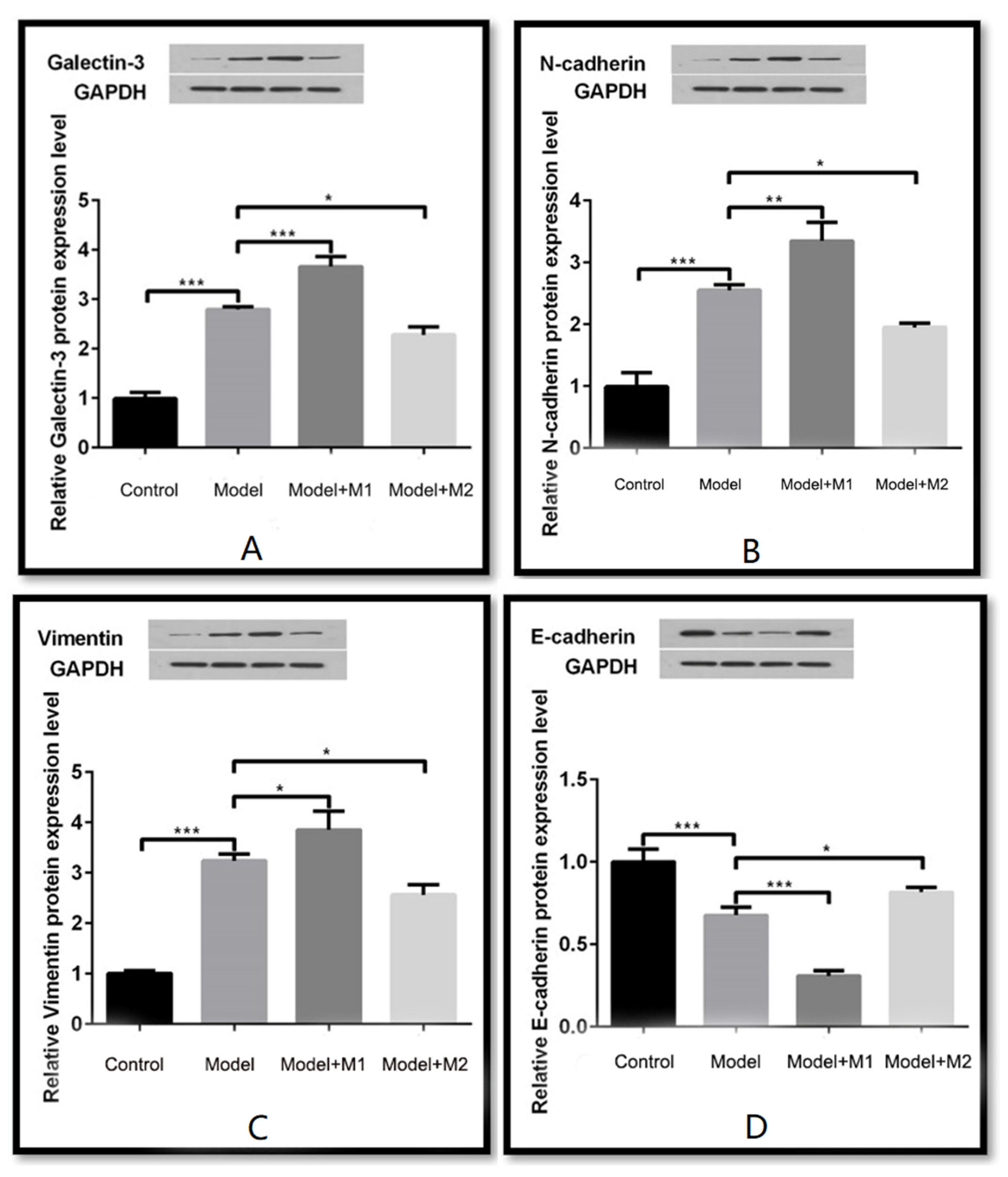 Biomedicines 11 02666 g005
