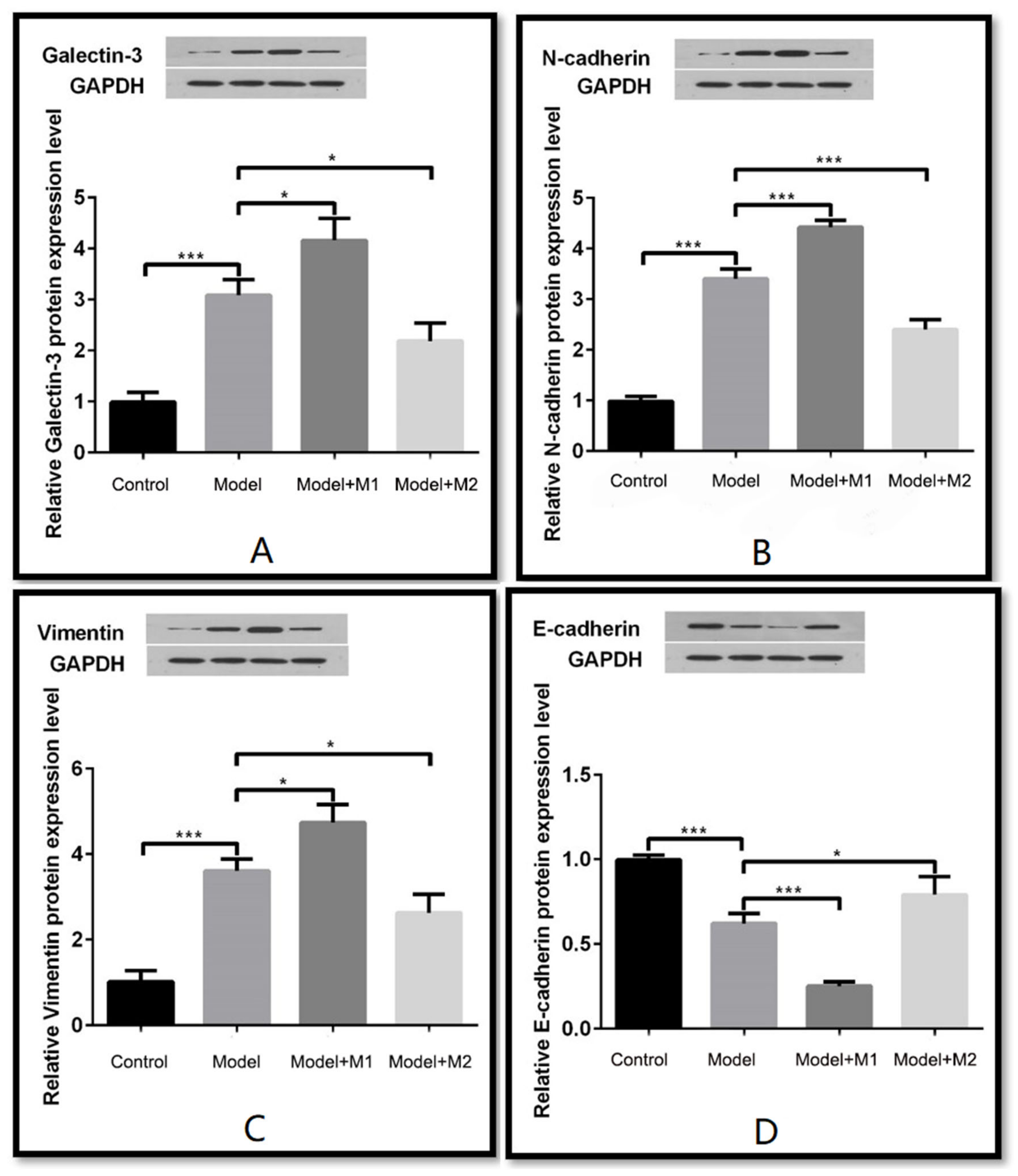 Biomedicines 11 02666 g009