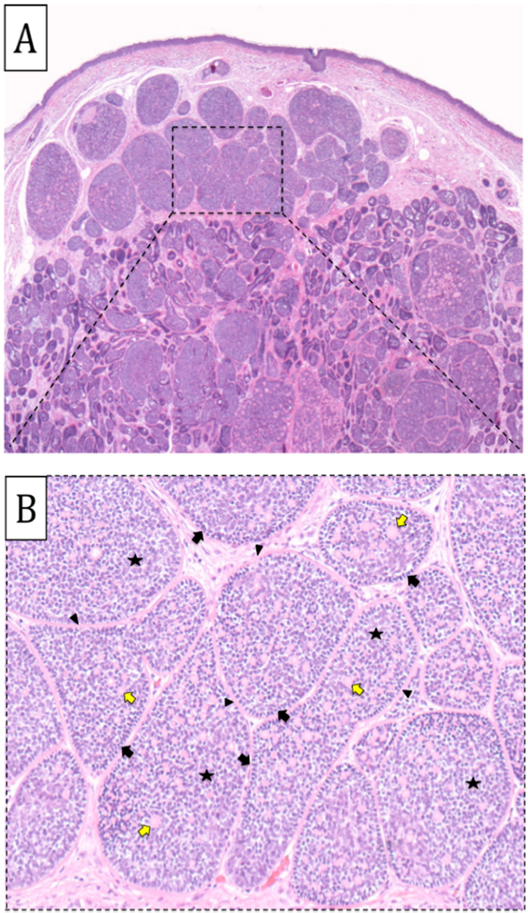 Biomedicines 11 02667 g001