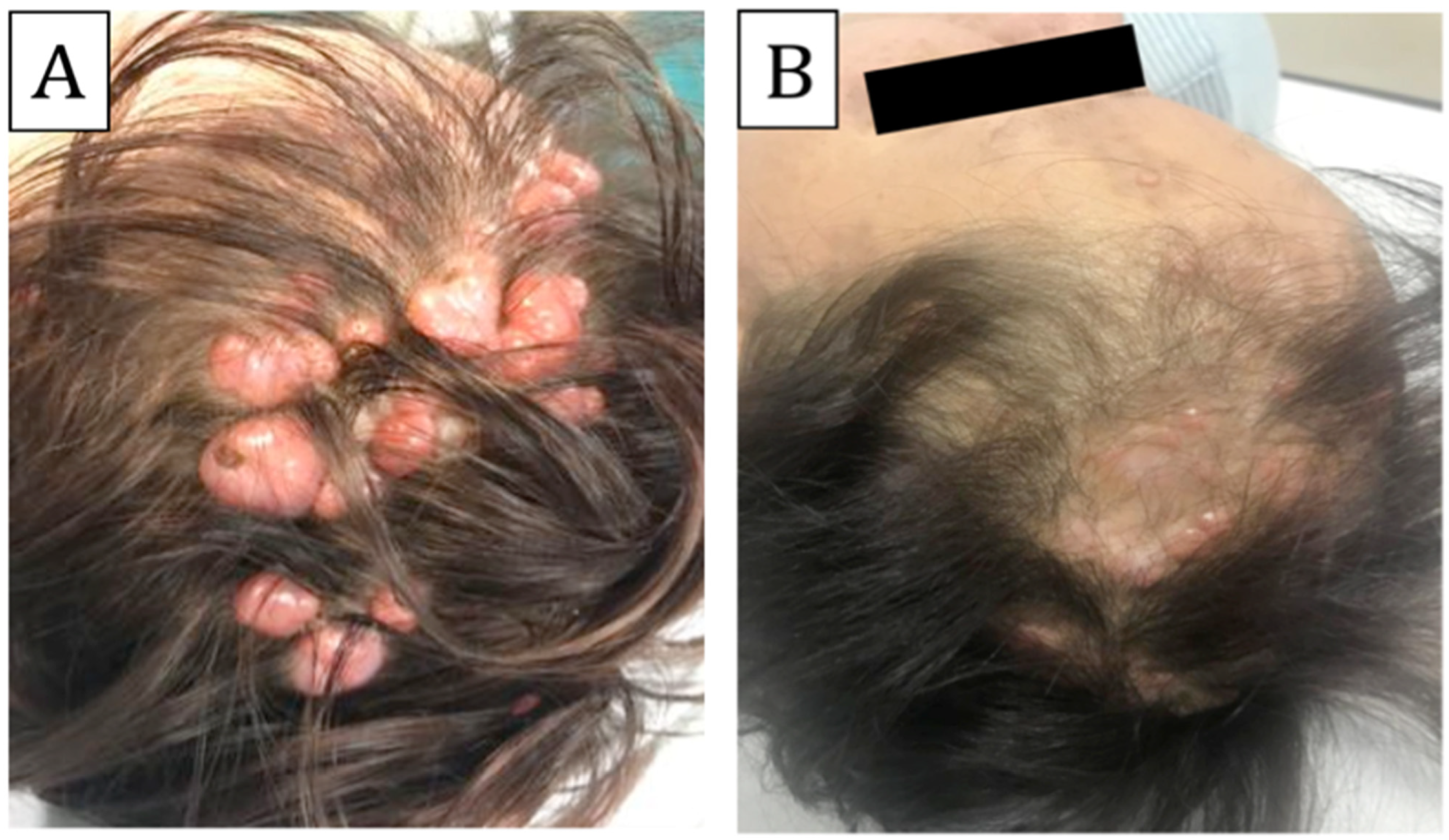Biomedicines 11 02667 g002