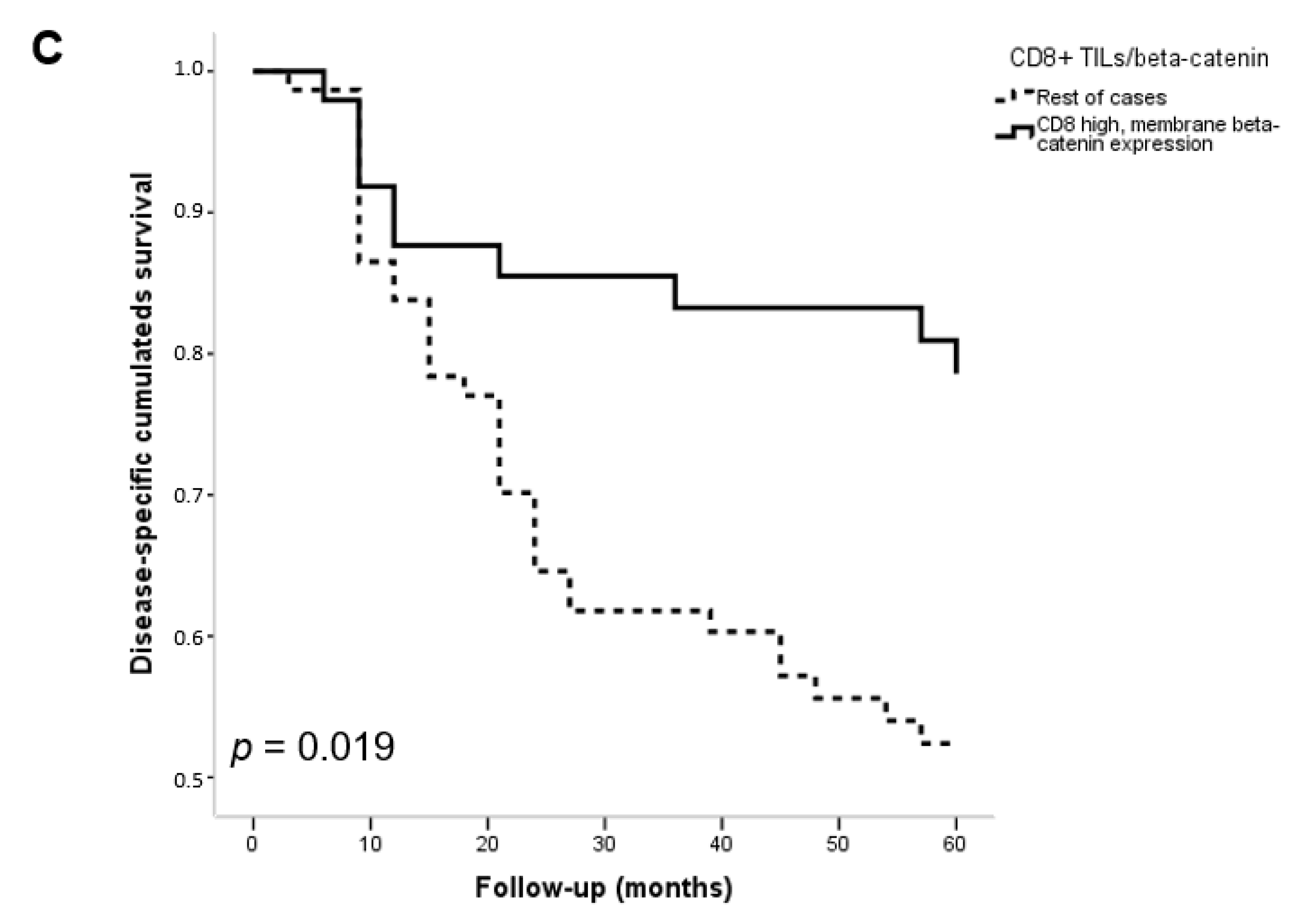 Biomedicines 11 02675 g002b Biomedicines 11 02675 g002b