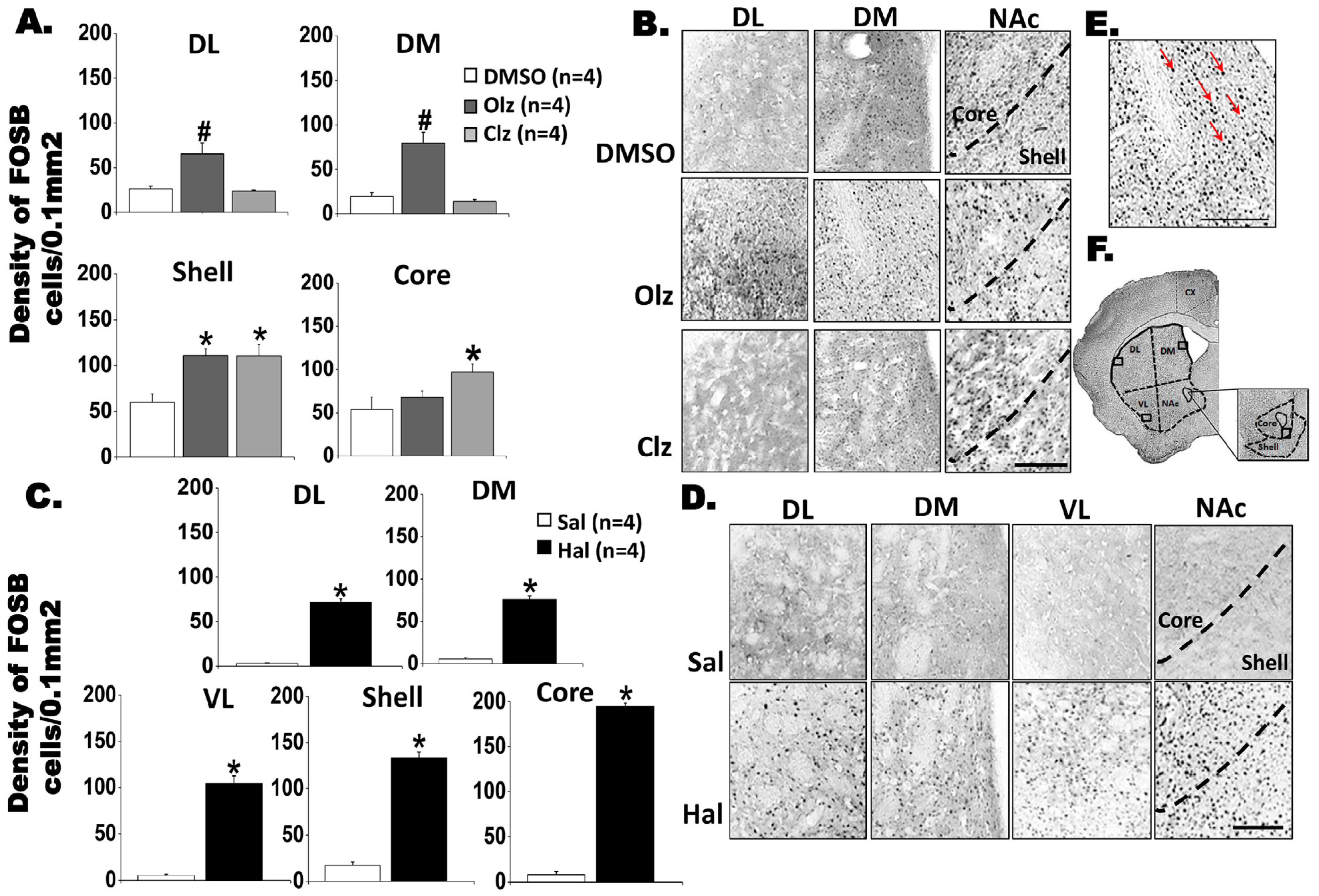 Biomedicines 11 02677 g002 Biomedicines 11 02677 g002