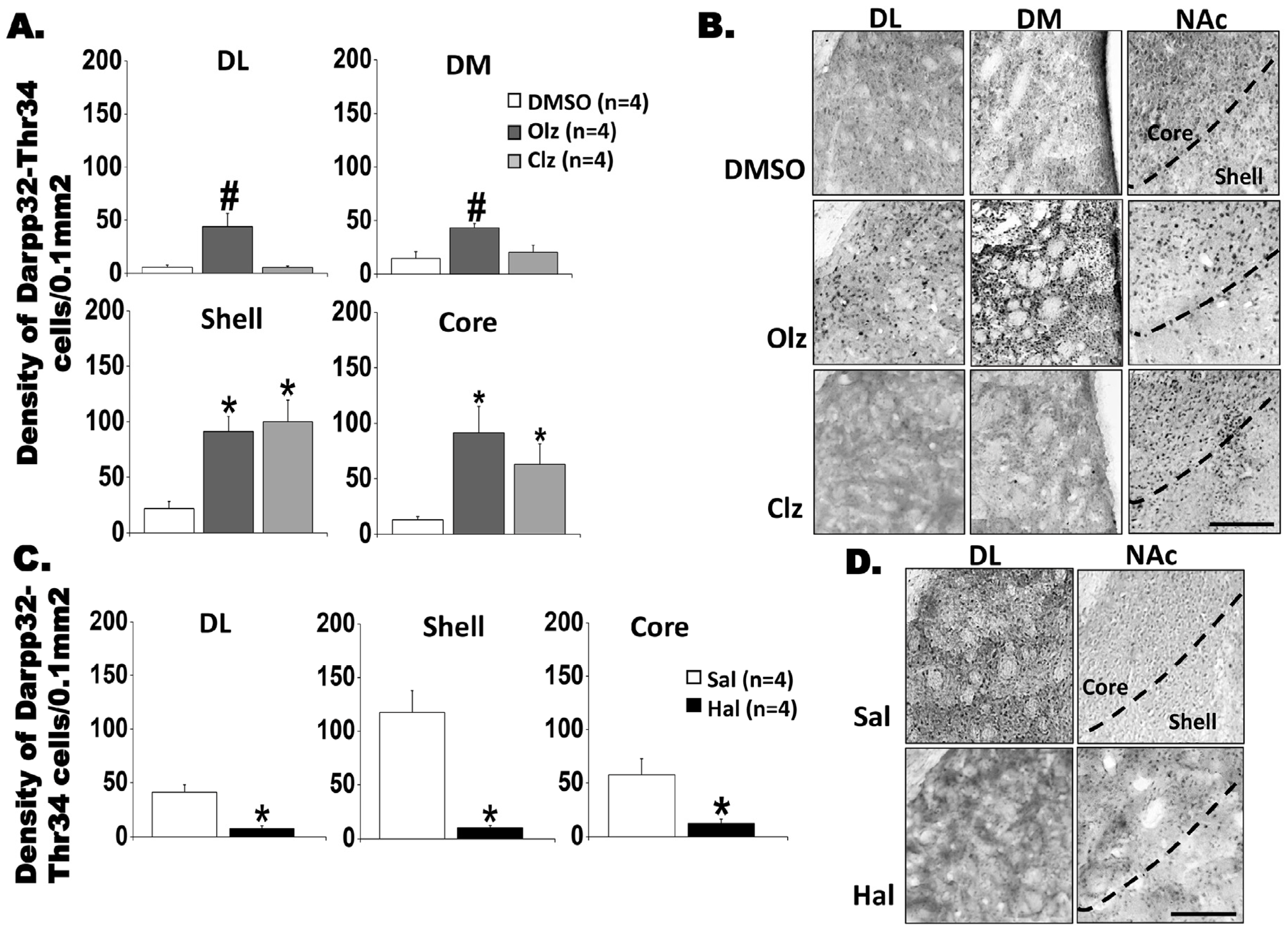 Biomedicines 11 02677 g003 Biomedicines 11 02677 g003