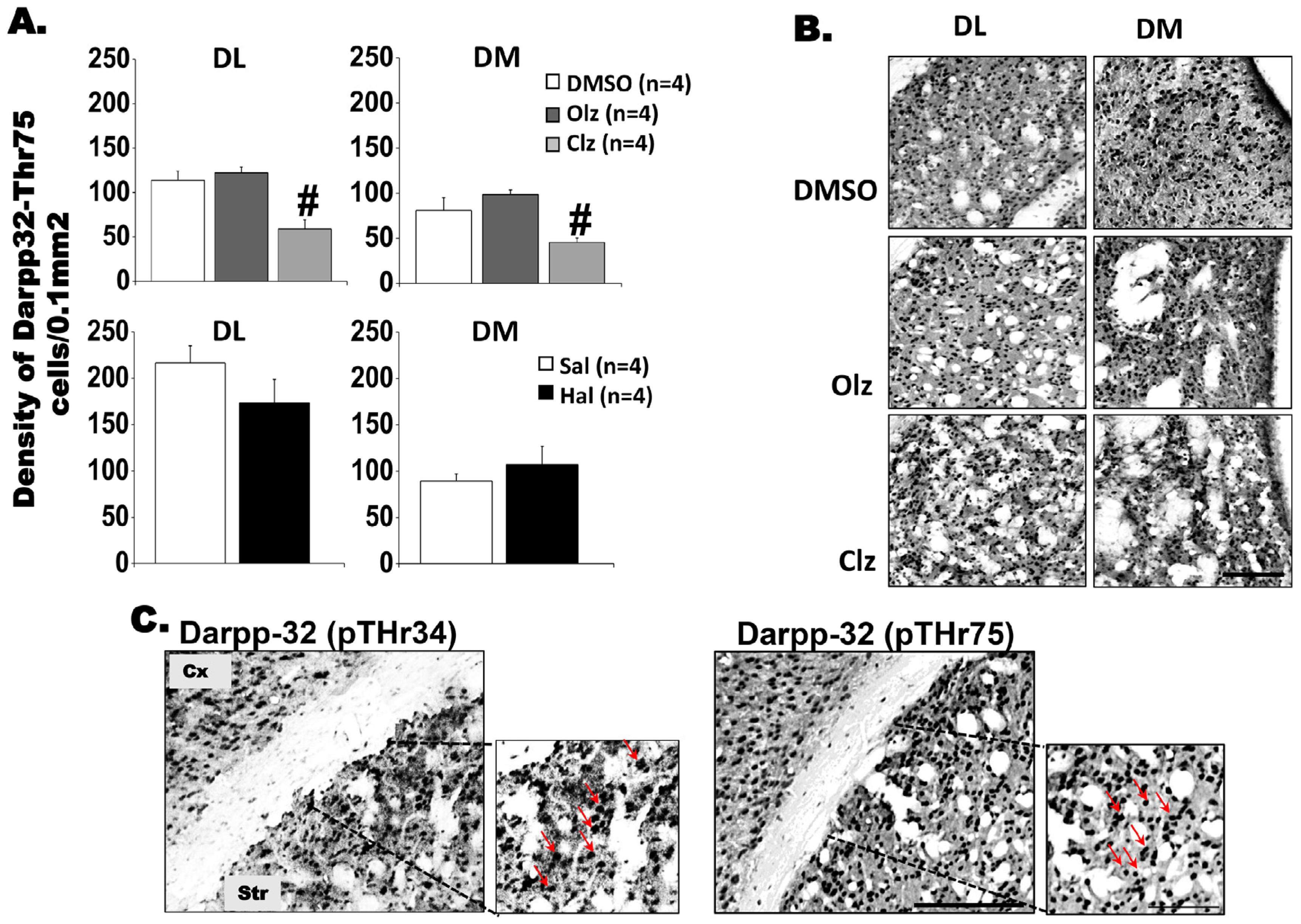 Biomedicines 11 02677 g004 Biomedicines 11 02677 g004