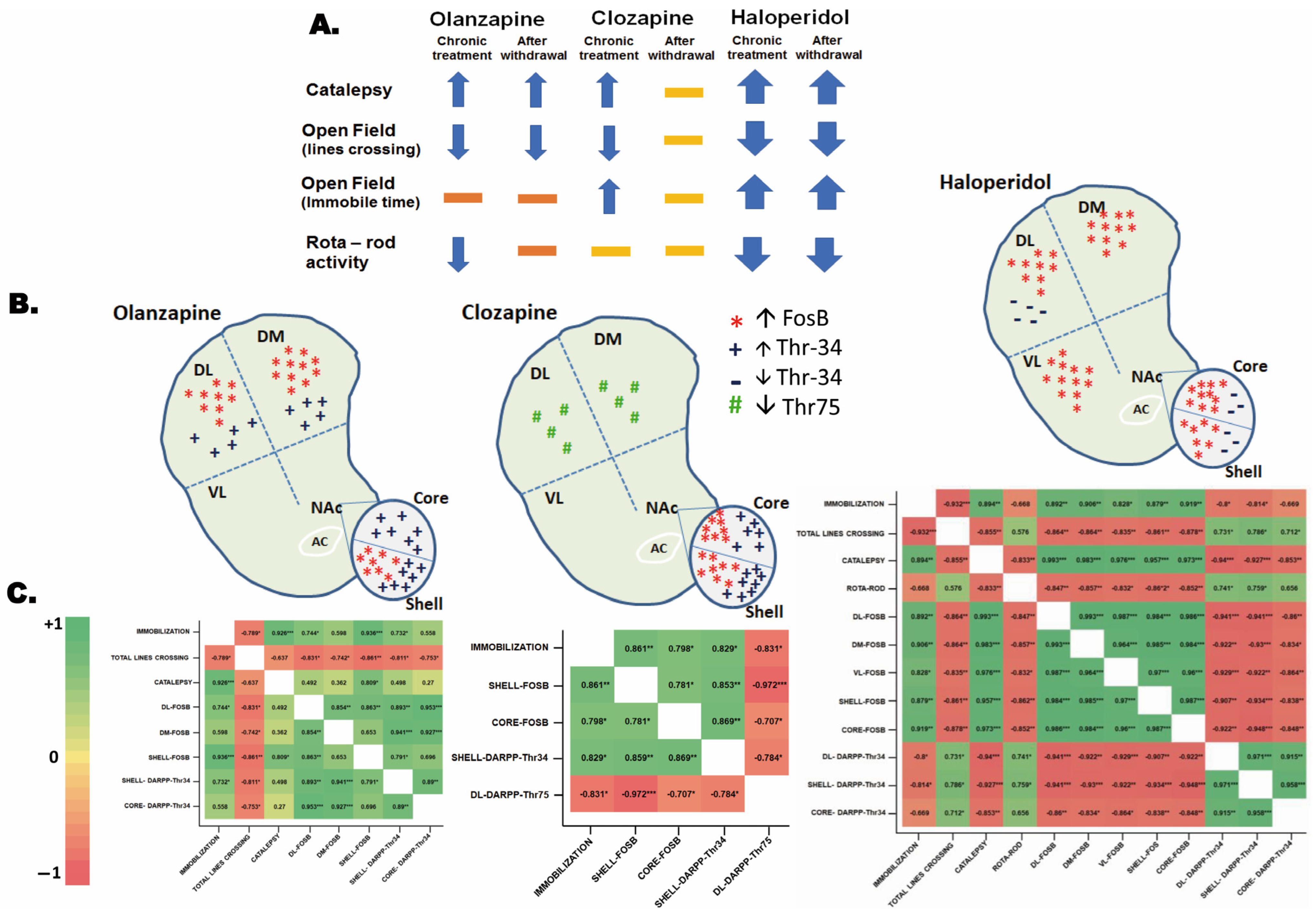 Biomedicines 11 02677 g005 Biomedicines 11 02677 g005