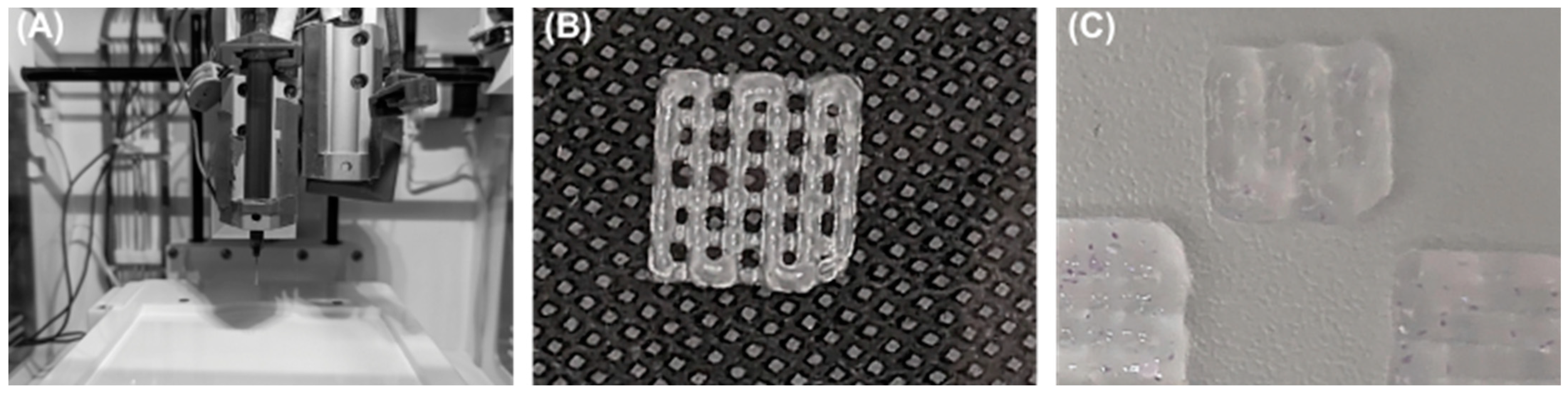 Biomedicines 11 02678 g004