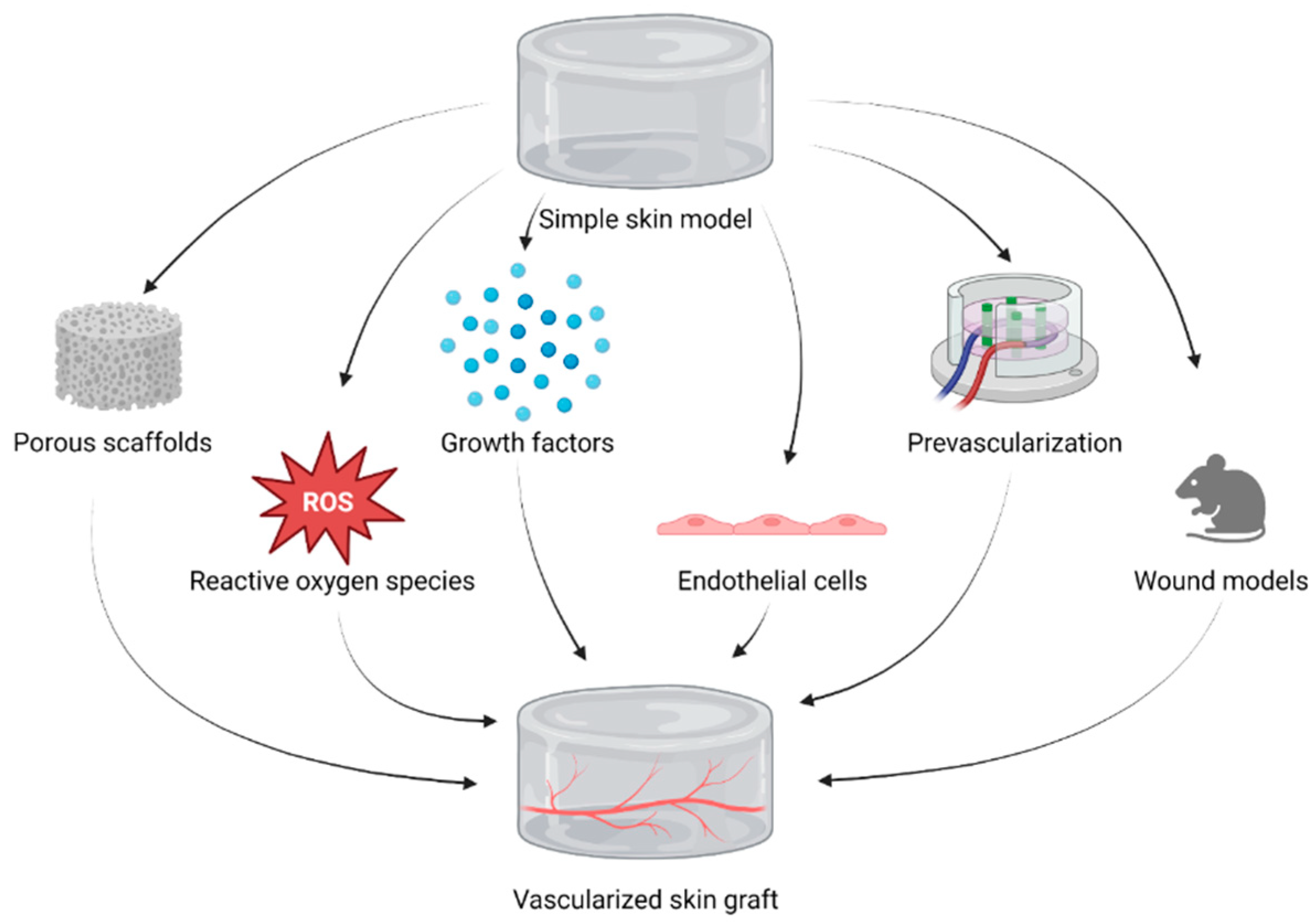 Biomedicines 11 02678 g005