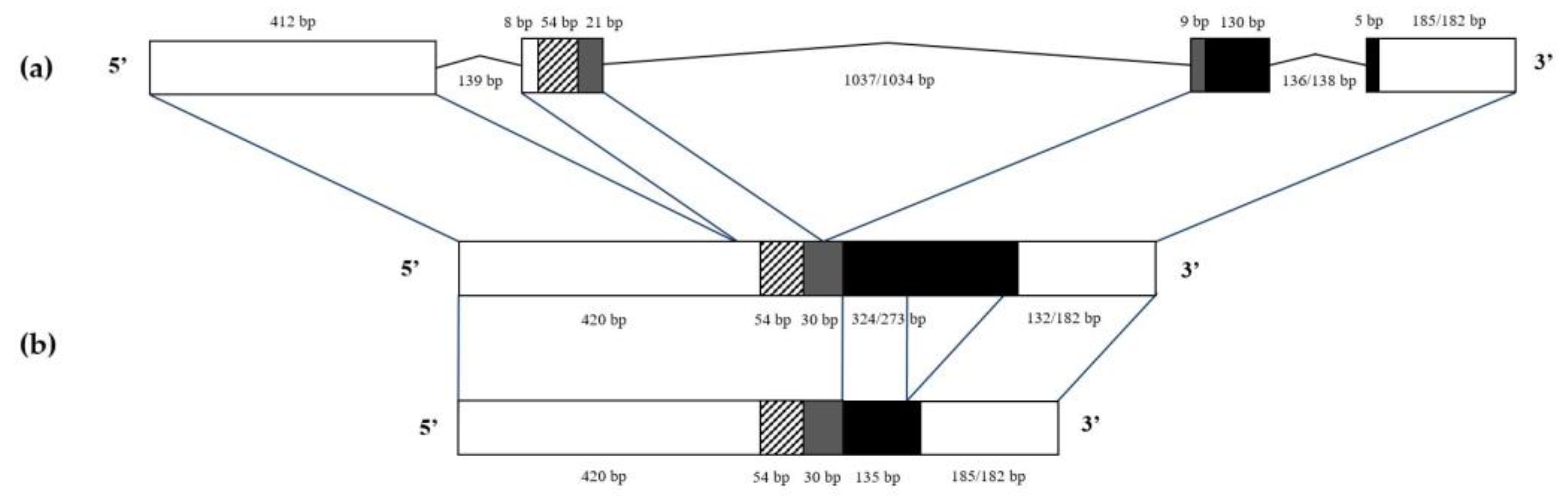 Biomedicines 11 02682 g002
