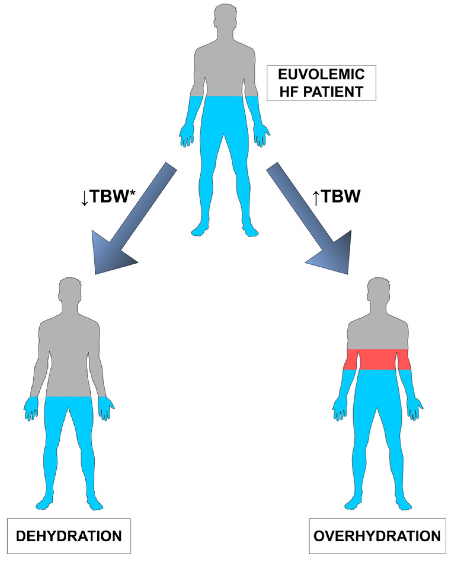 Biomedicines 11 02684 g001