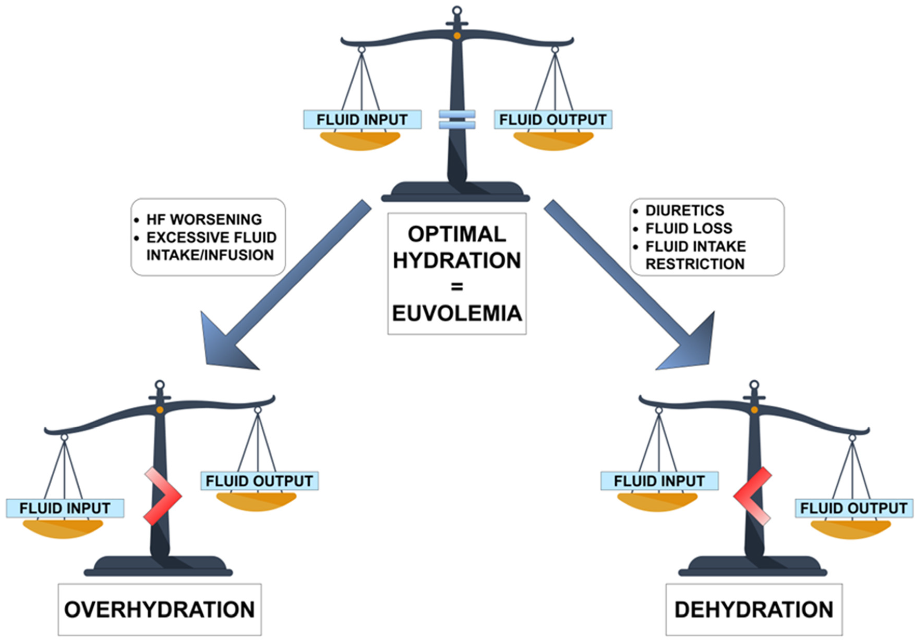 Biomedicines 11 02684 g006