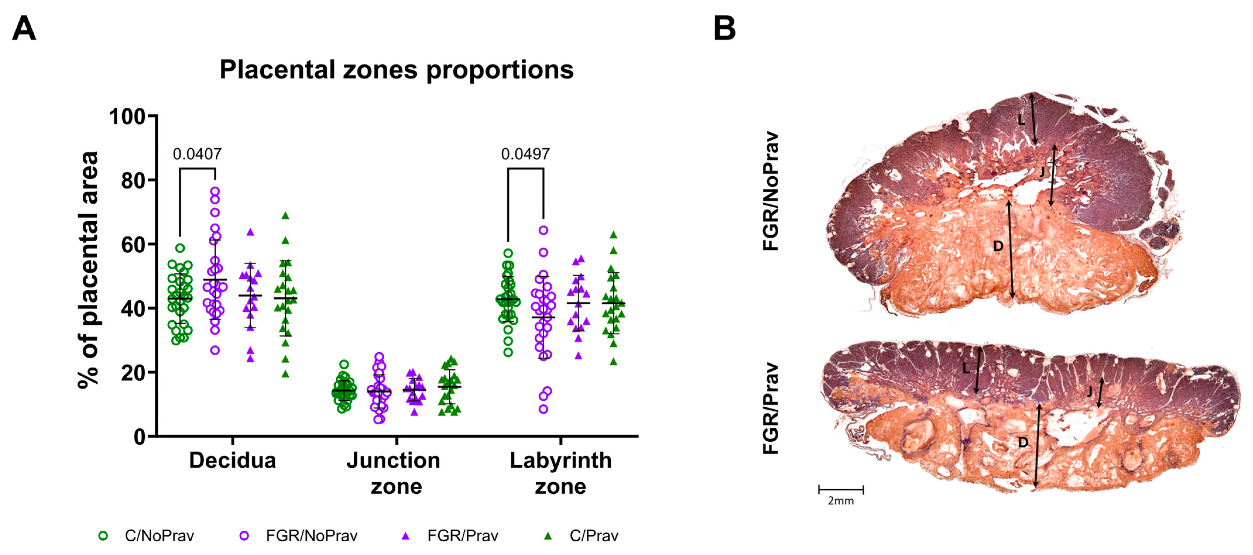Biomedicines 11 02685 g003