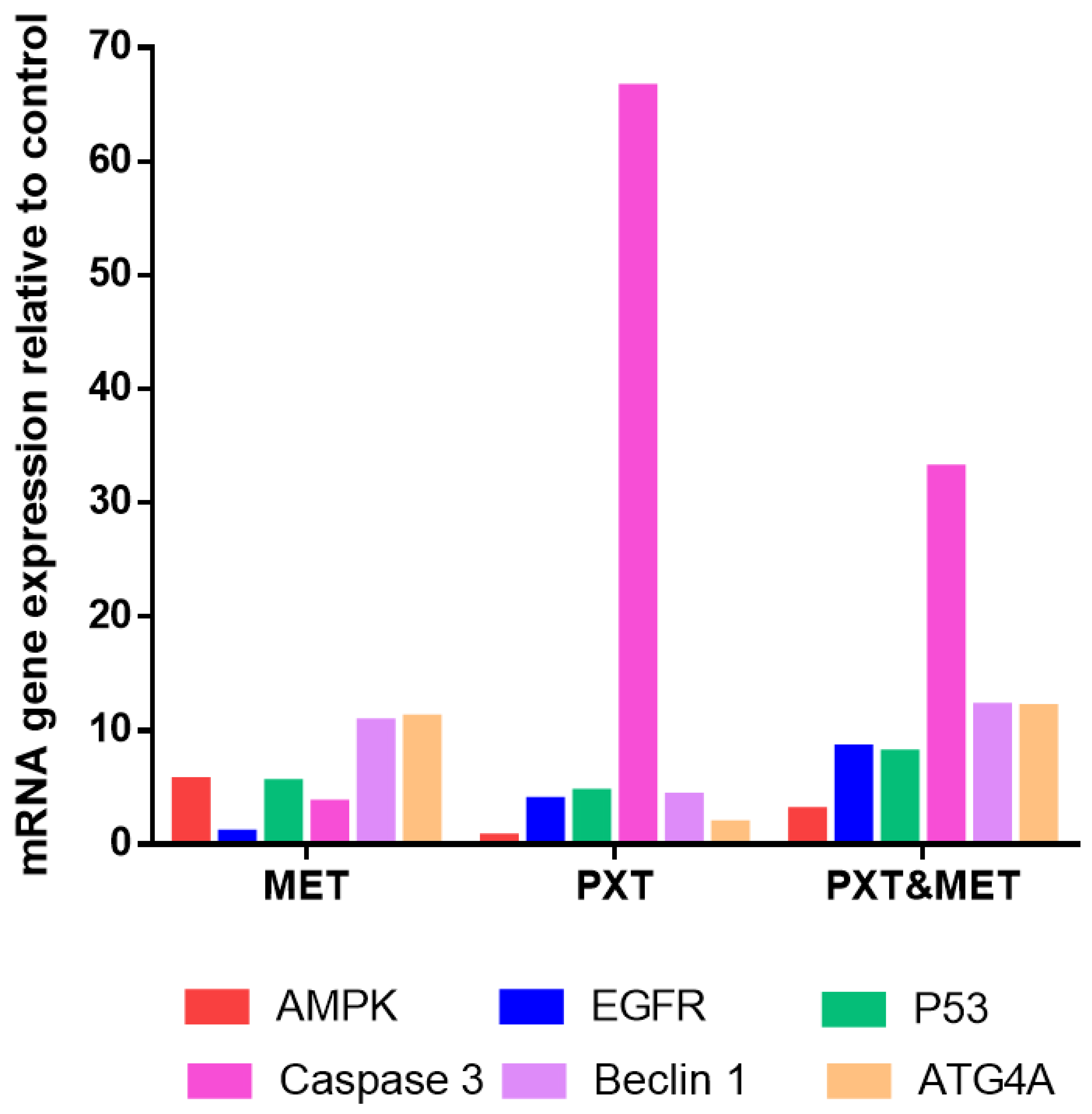 Biomedicines 11 02688 g007 Biomedicines 11 02688 g007