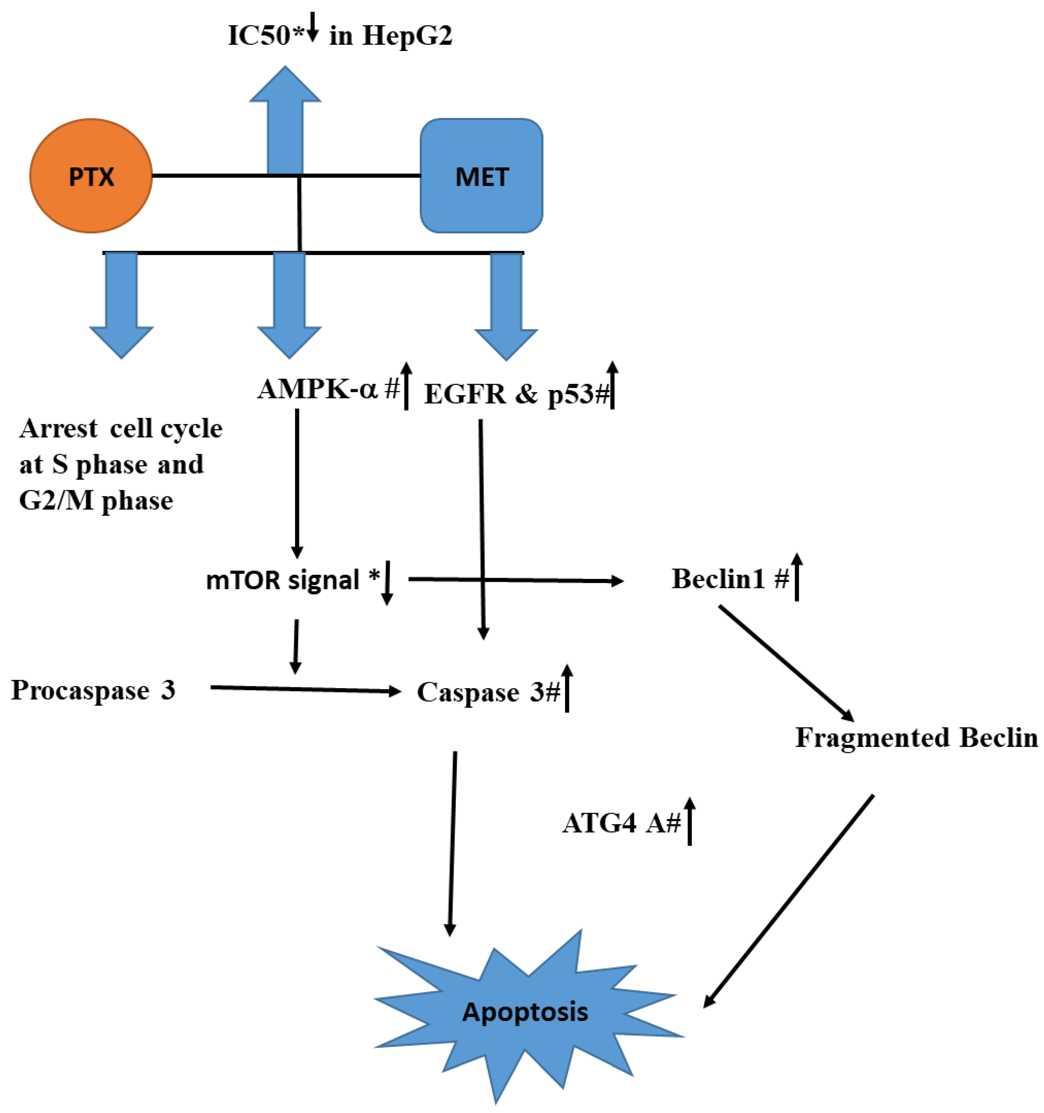 Biomedicines 11 02688 g008 Biomedicines 11 02688 g008