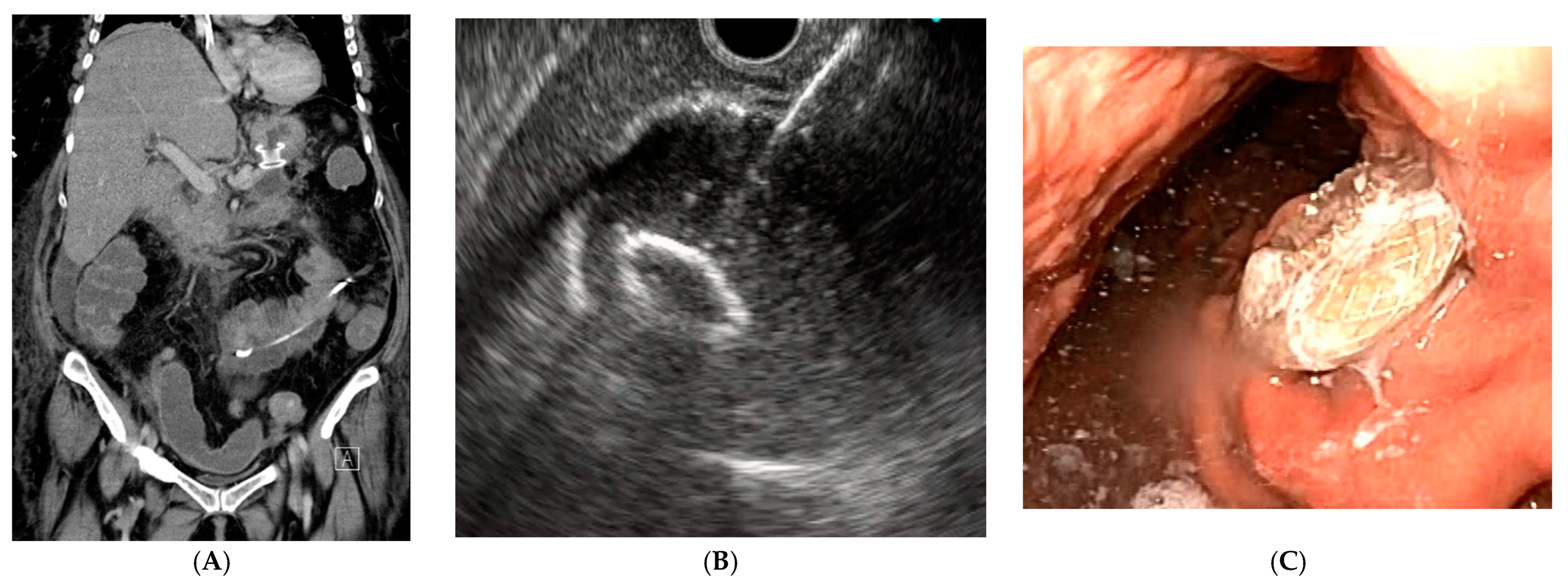 Biomedicines 11 02690 g003