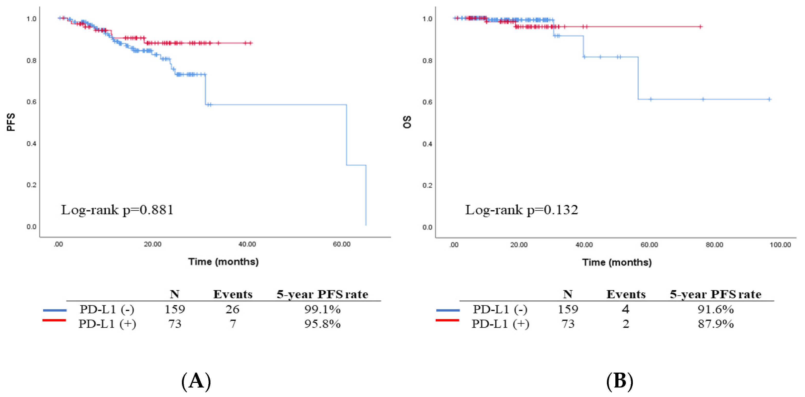 Biomedicines 11 02691 g001