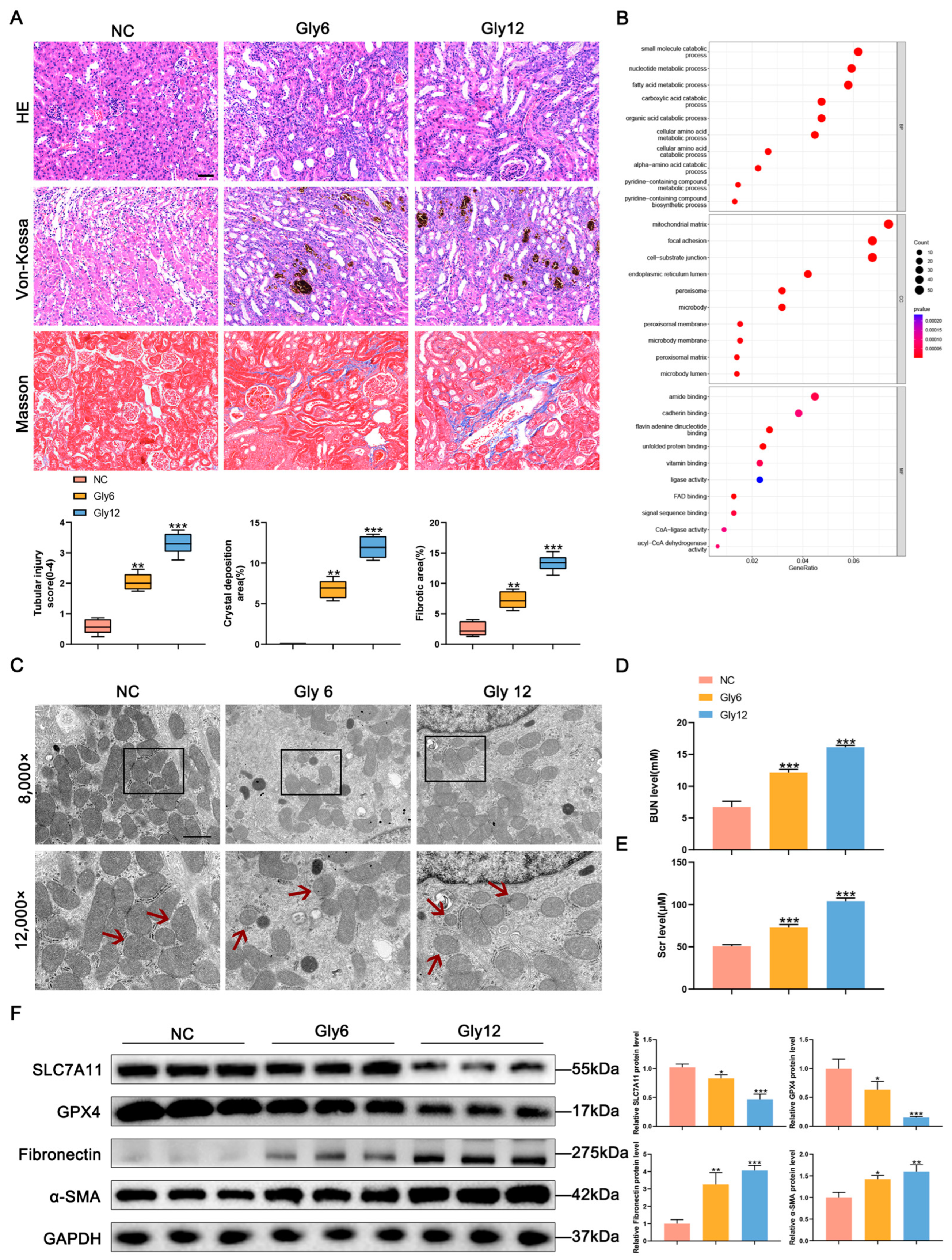 Biomedicines 11 02692 g001