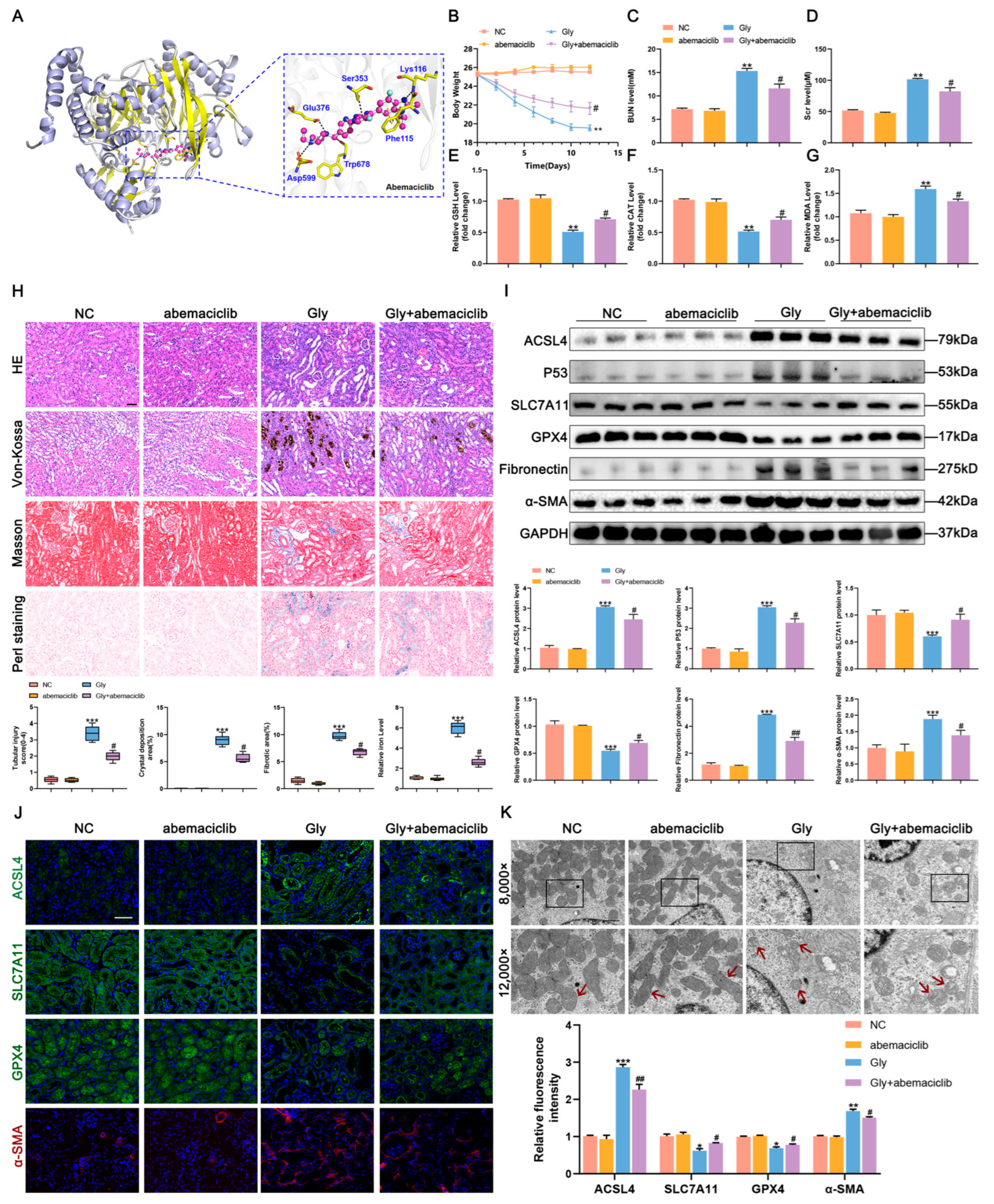 Biomedicines 11 02692 g004