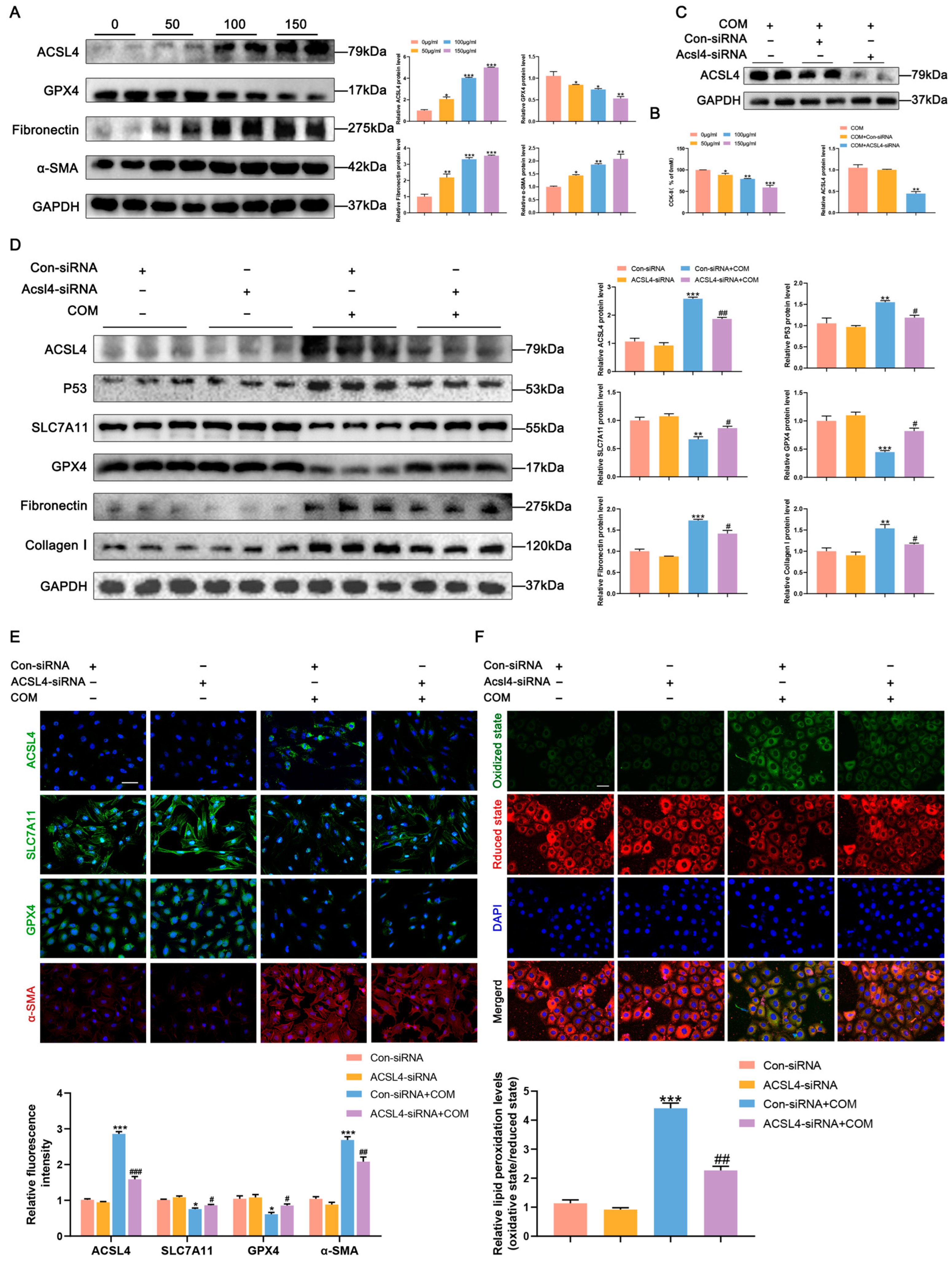 Biomedicines 11 02692 g005