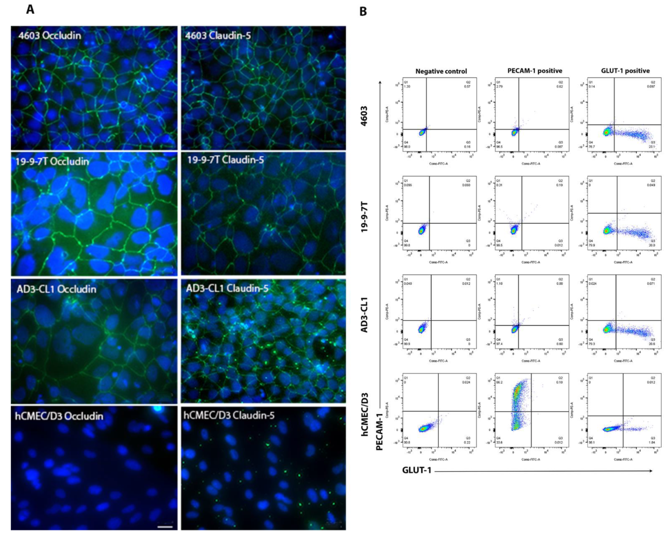 Biomedicines 11 02700 g001