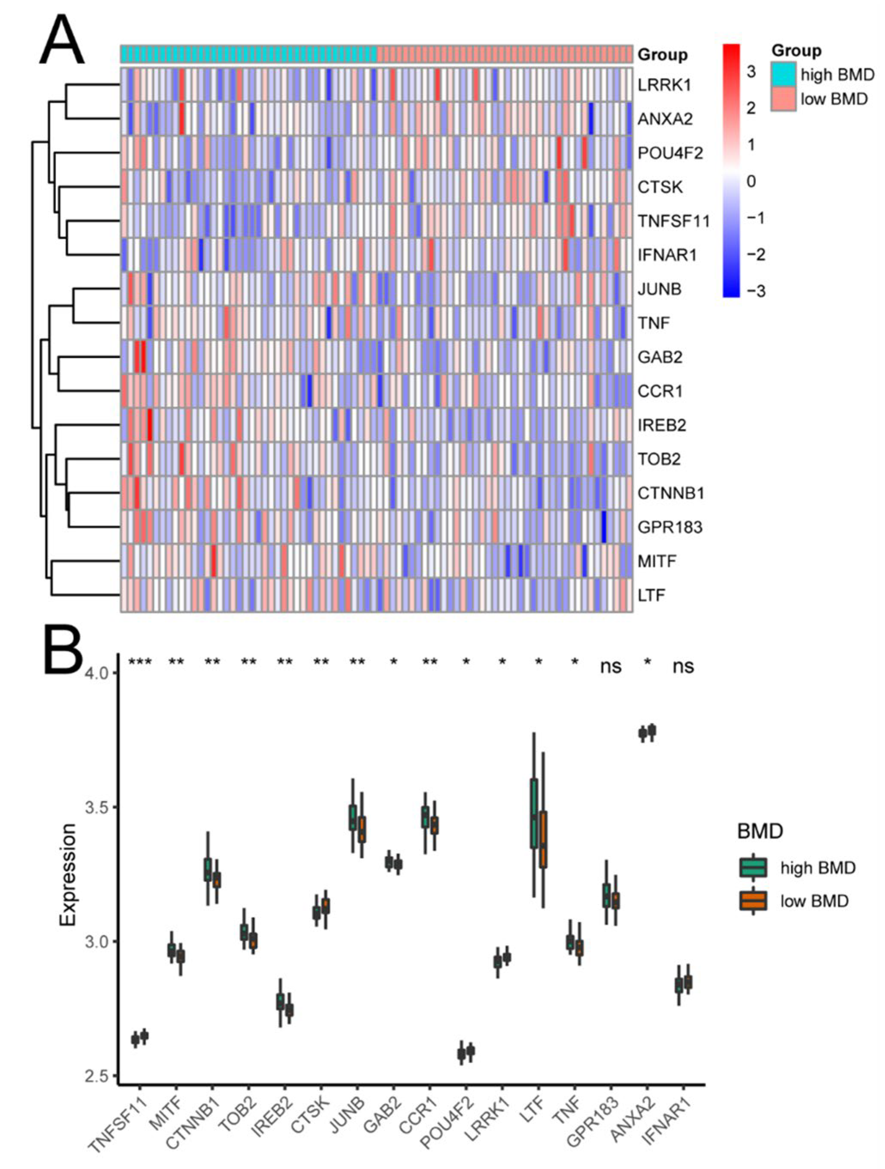 Biomedicines 11 02701 g002