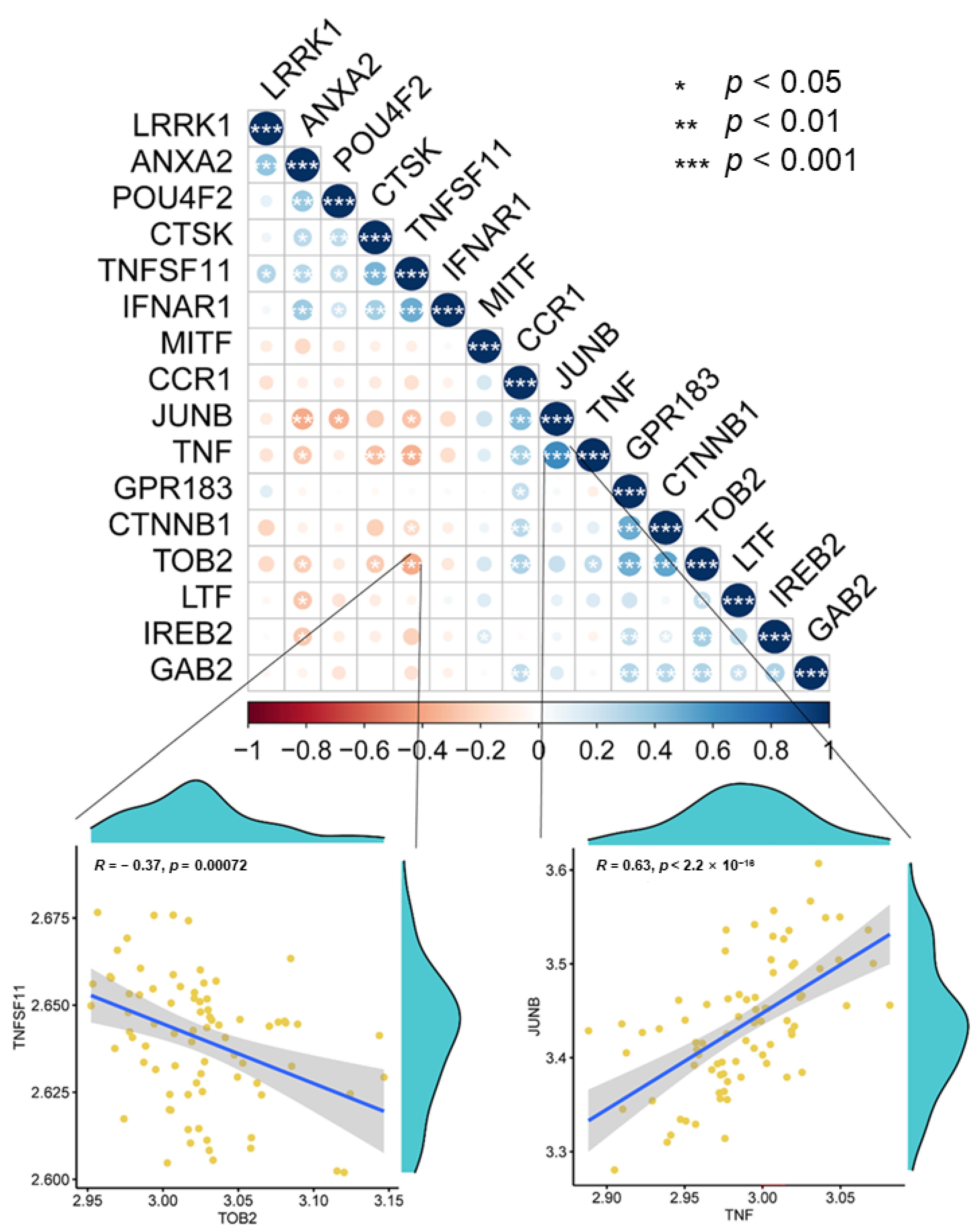 Biomedicines 11 02701 g003