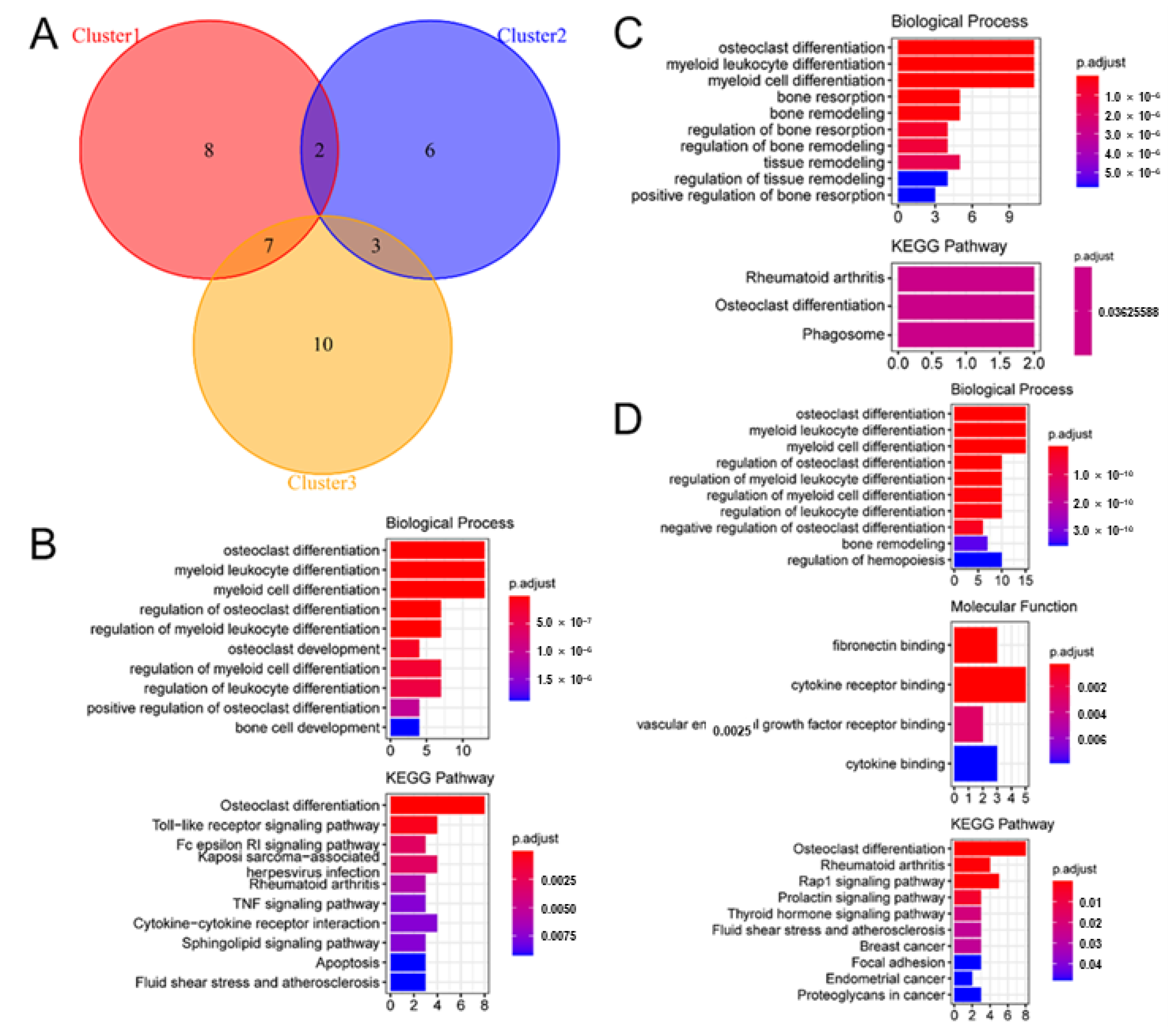 Biomedicines 11 02701 g010