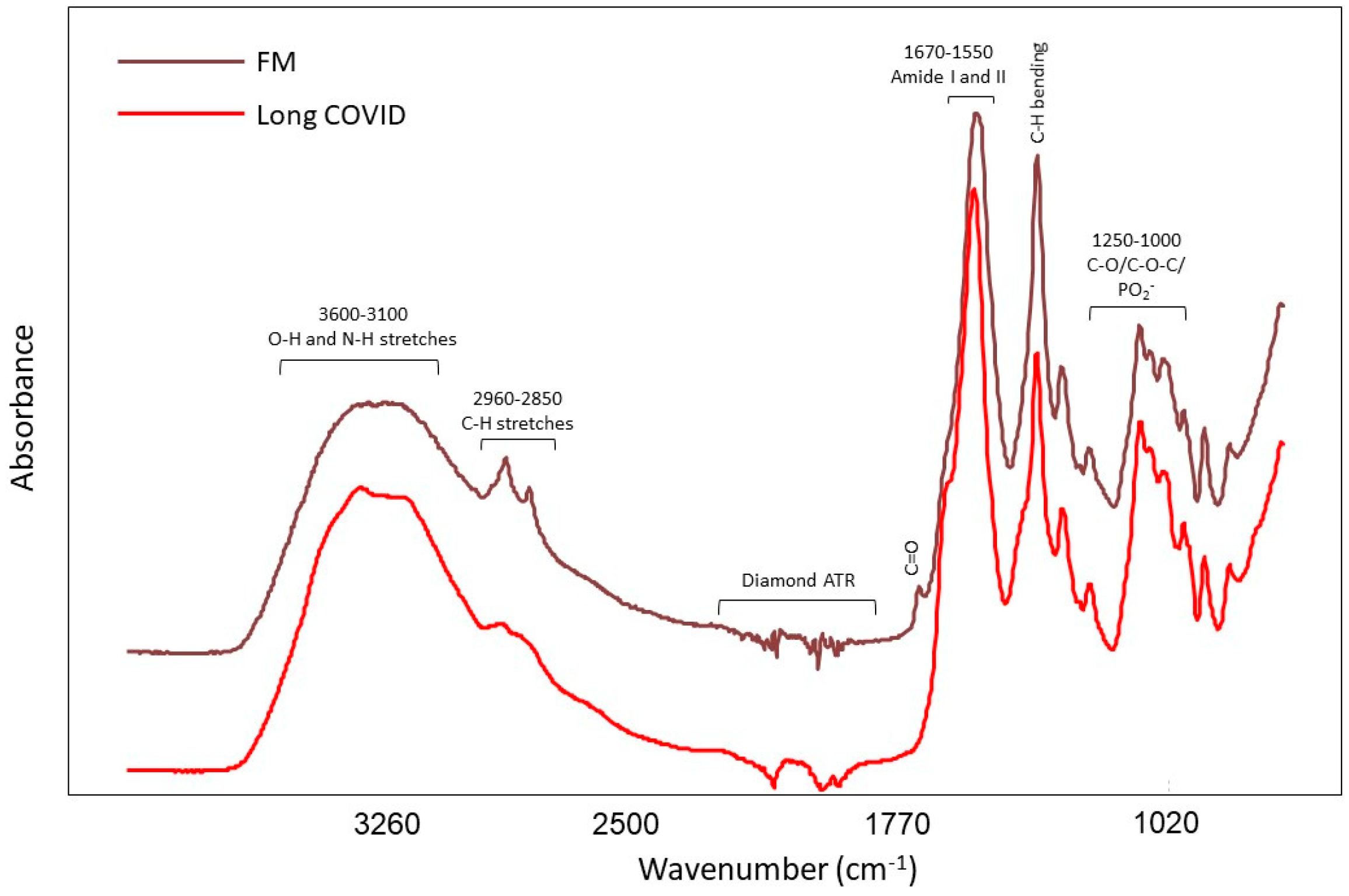 Biomedicines 11 02704 g002