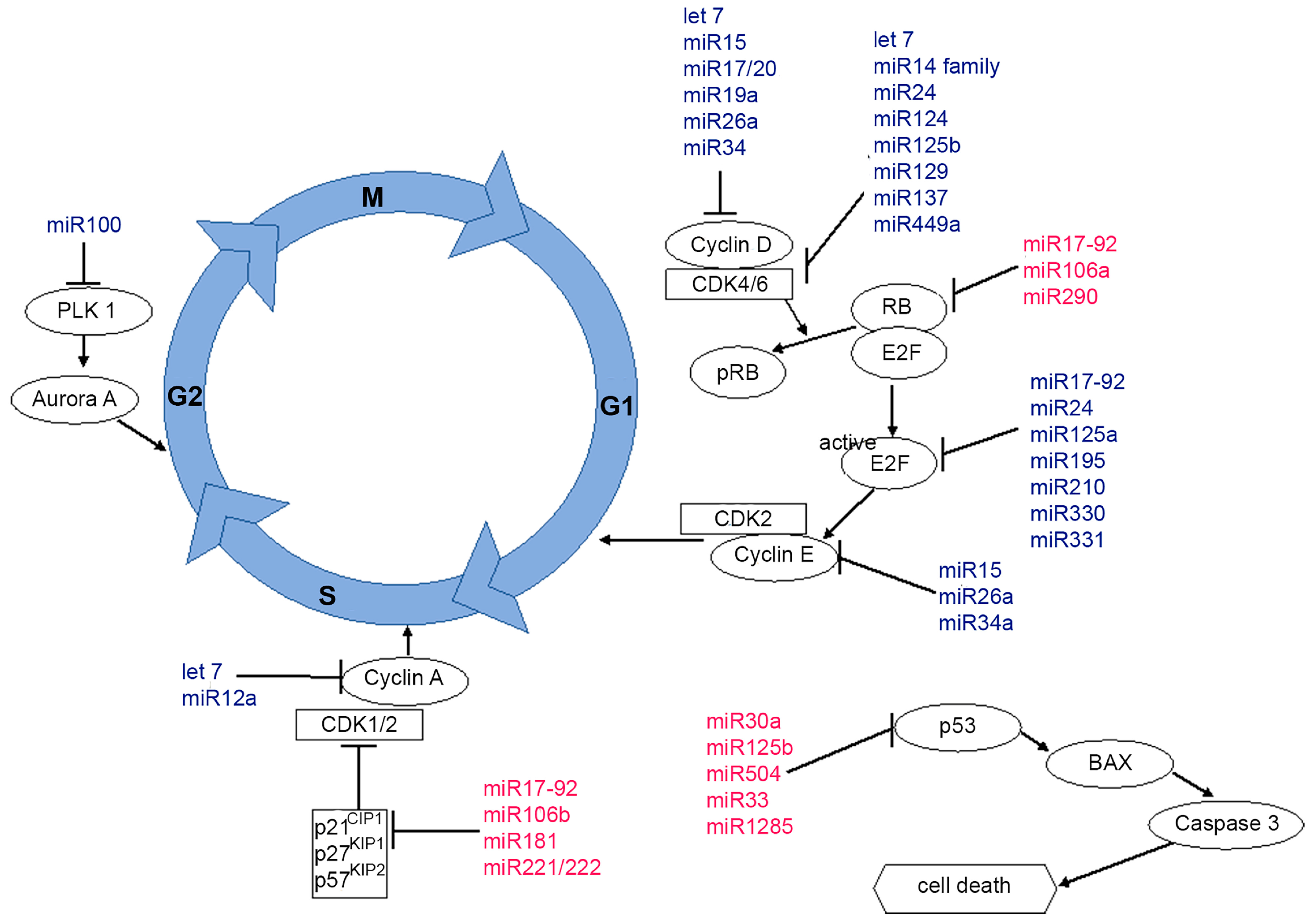 Biomedicines 11 02705 g001