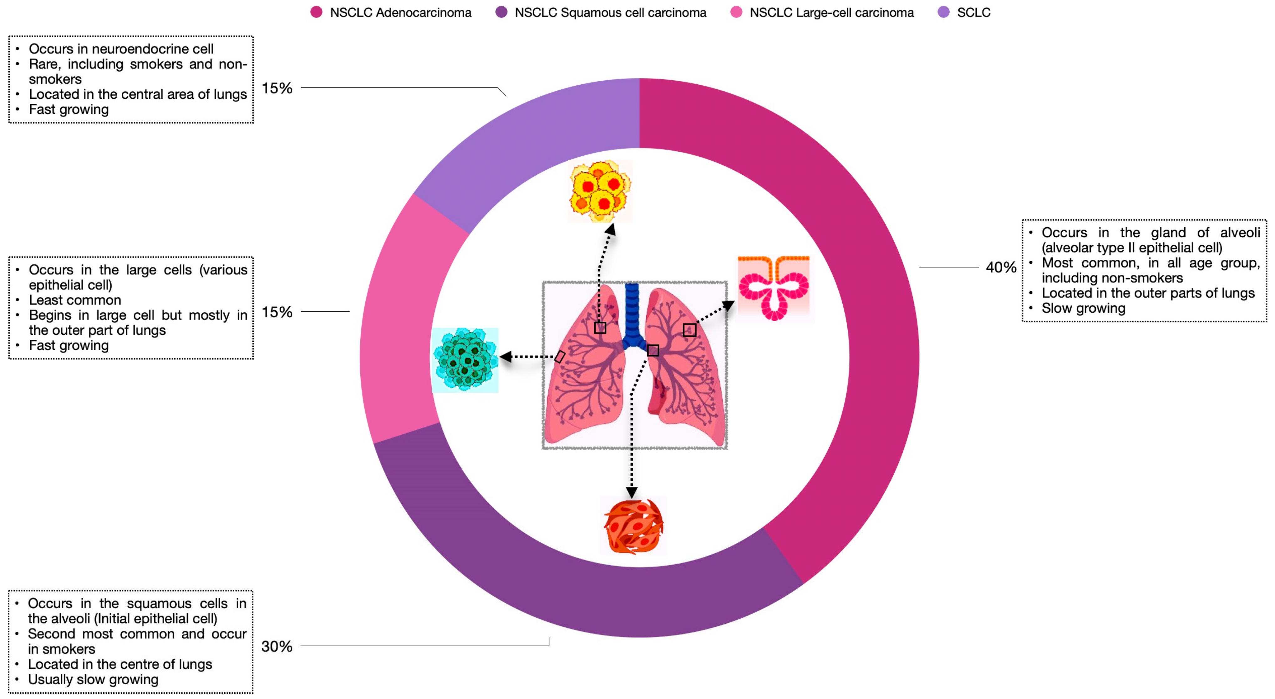 Biomedicines 11 02706 g001