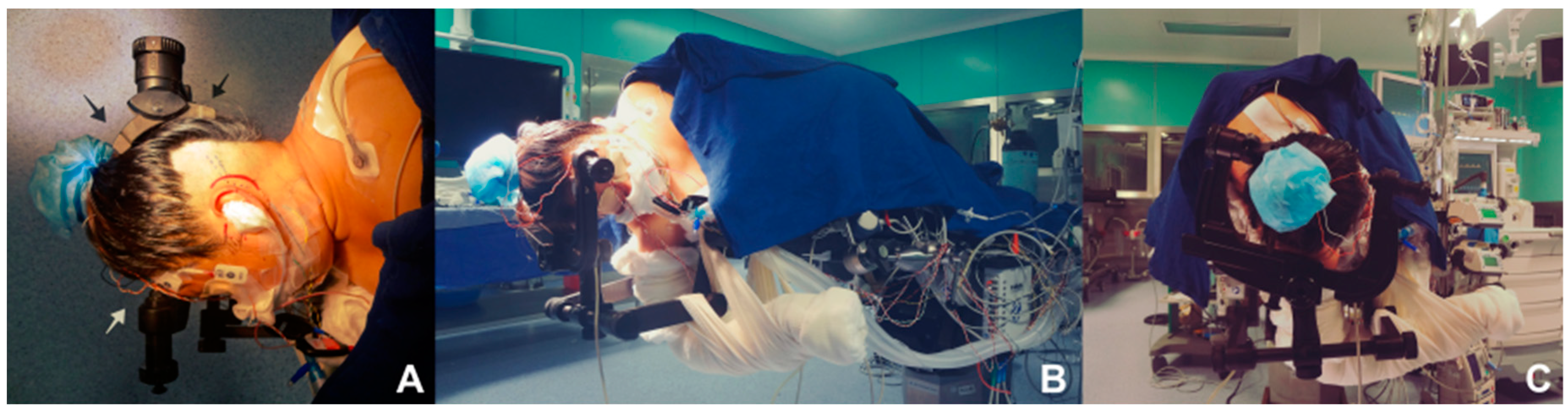 Biomedicines 11 02707 g001 Biomedicines 11 02707 g001