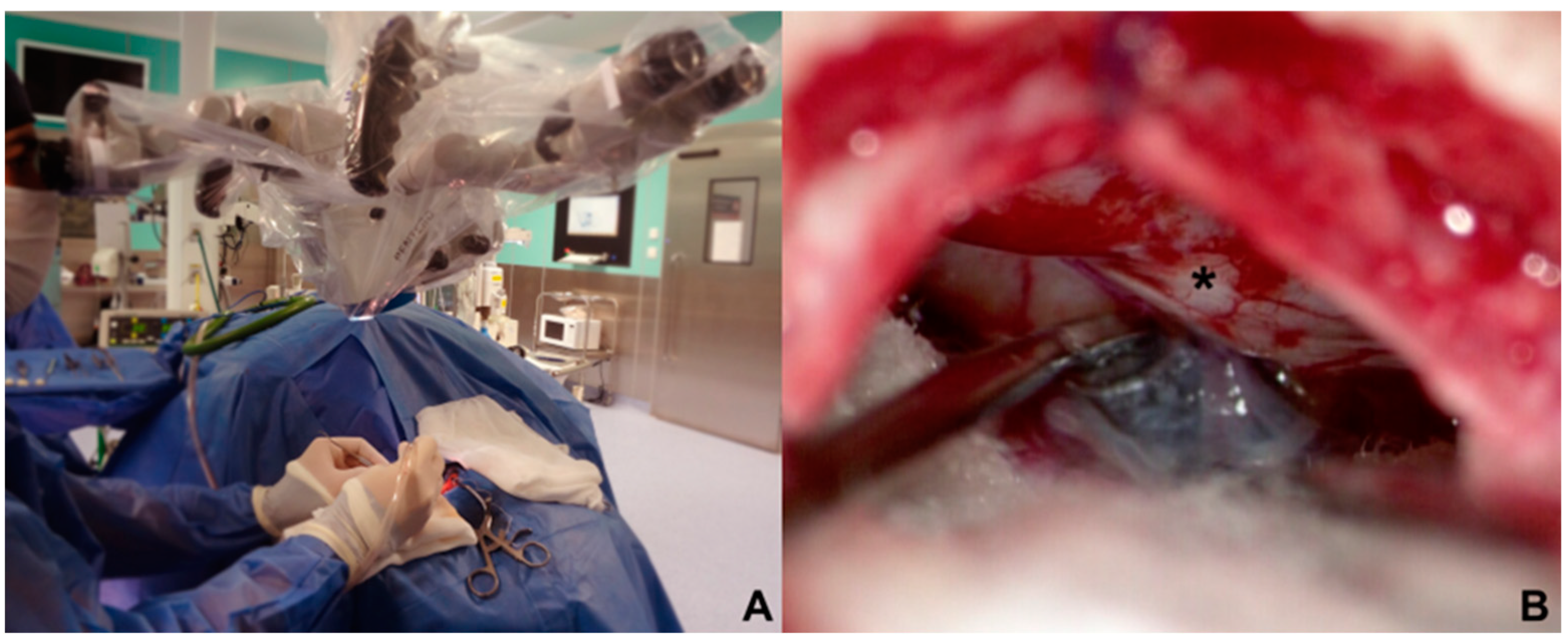 Biomedicines 11 02707 g003 Biomedicines 11 02707 g003