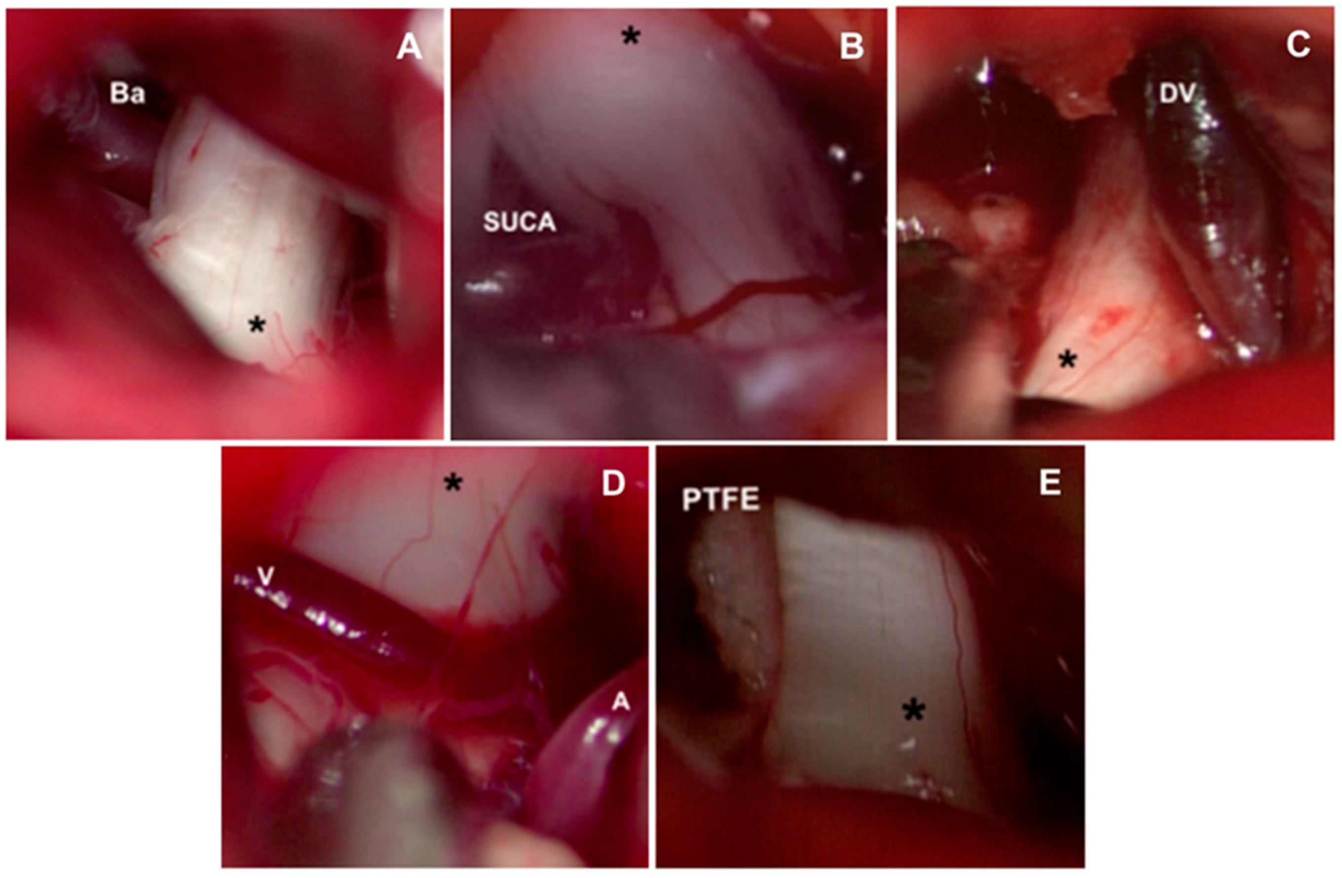 Biomedicines 11 02707 g004 Biomedicines 11 02707 g004