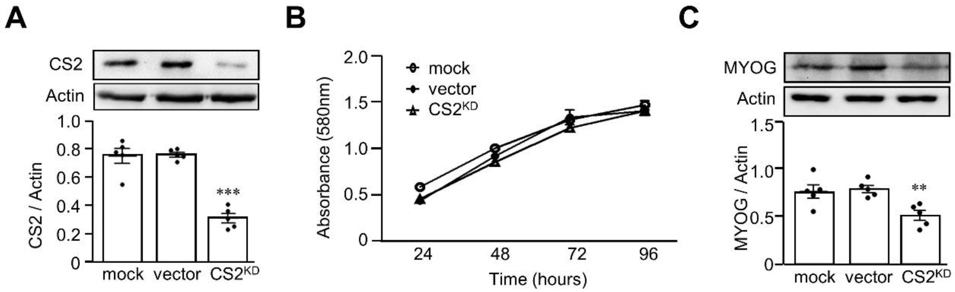 Biomedicines 11 02708 g004
