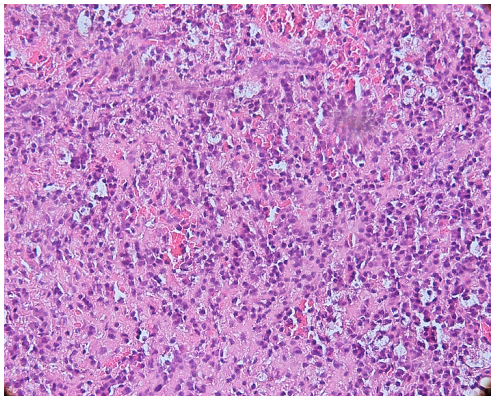 Biomedicines 11 02709 g003