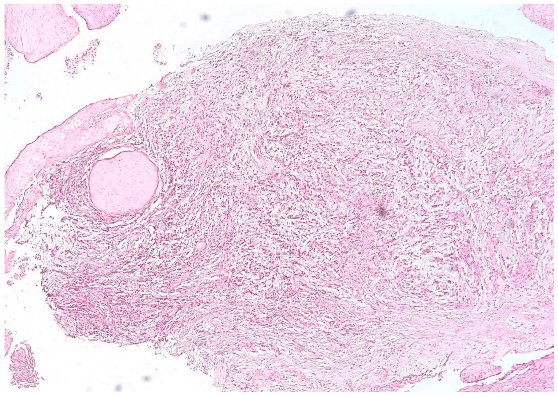 Biomedicines 11 02709 g004