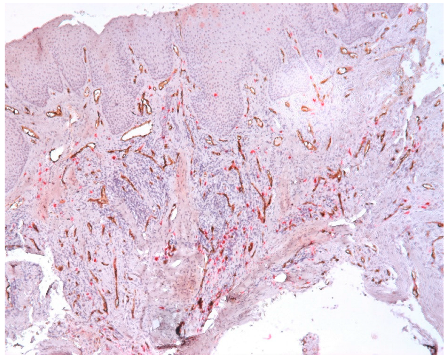 Biomedicines 11 02709 g011