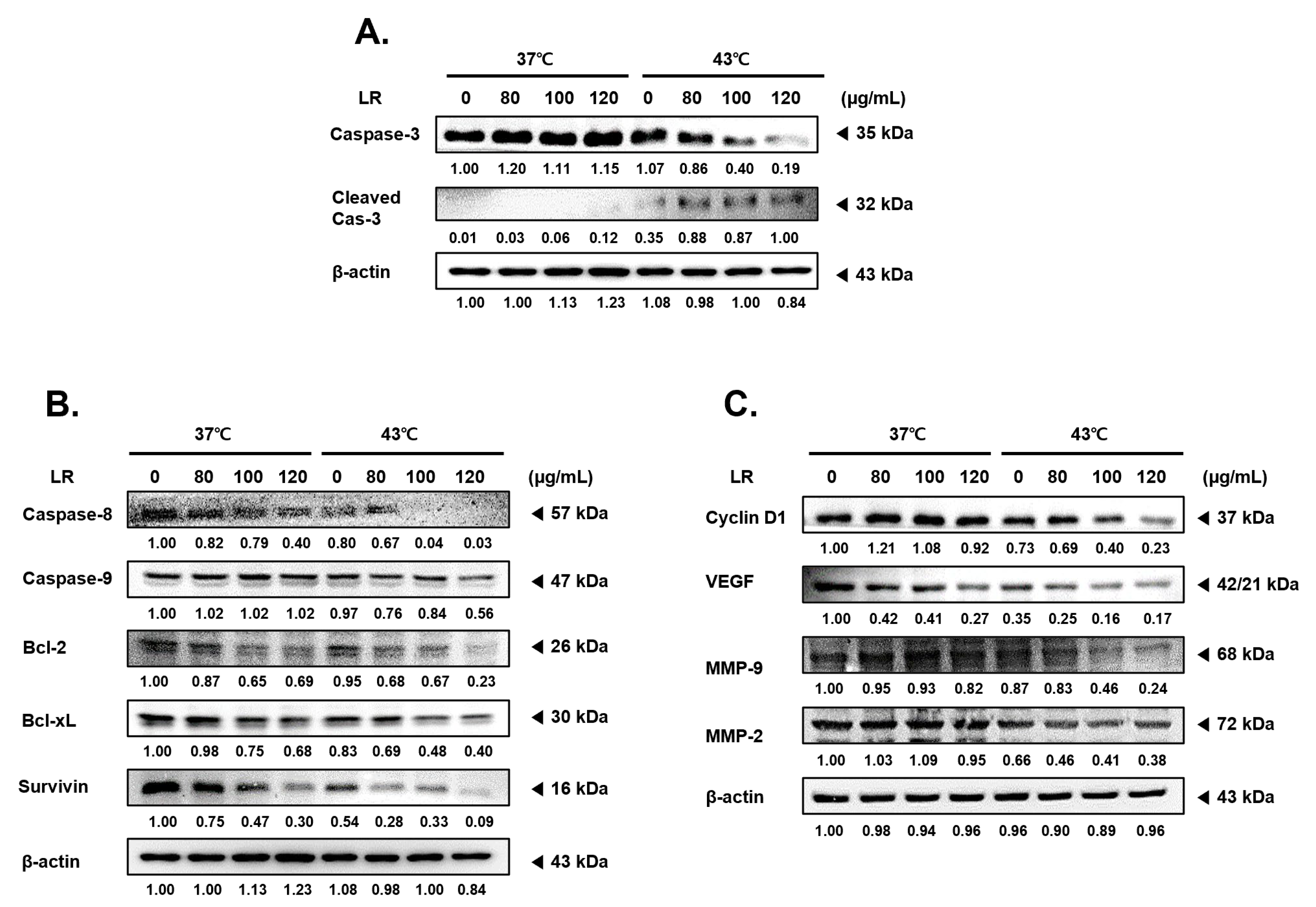 Biomedicines 11 02710 g003