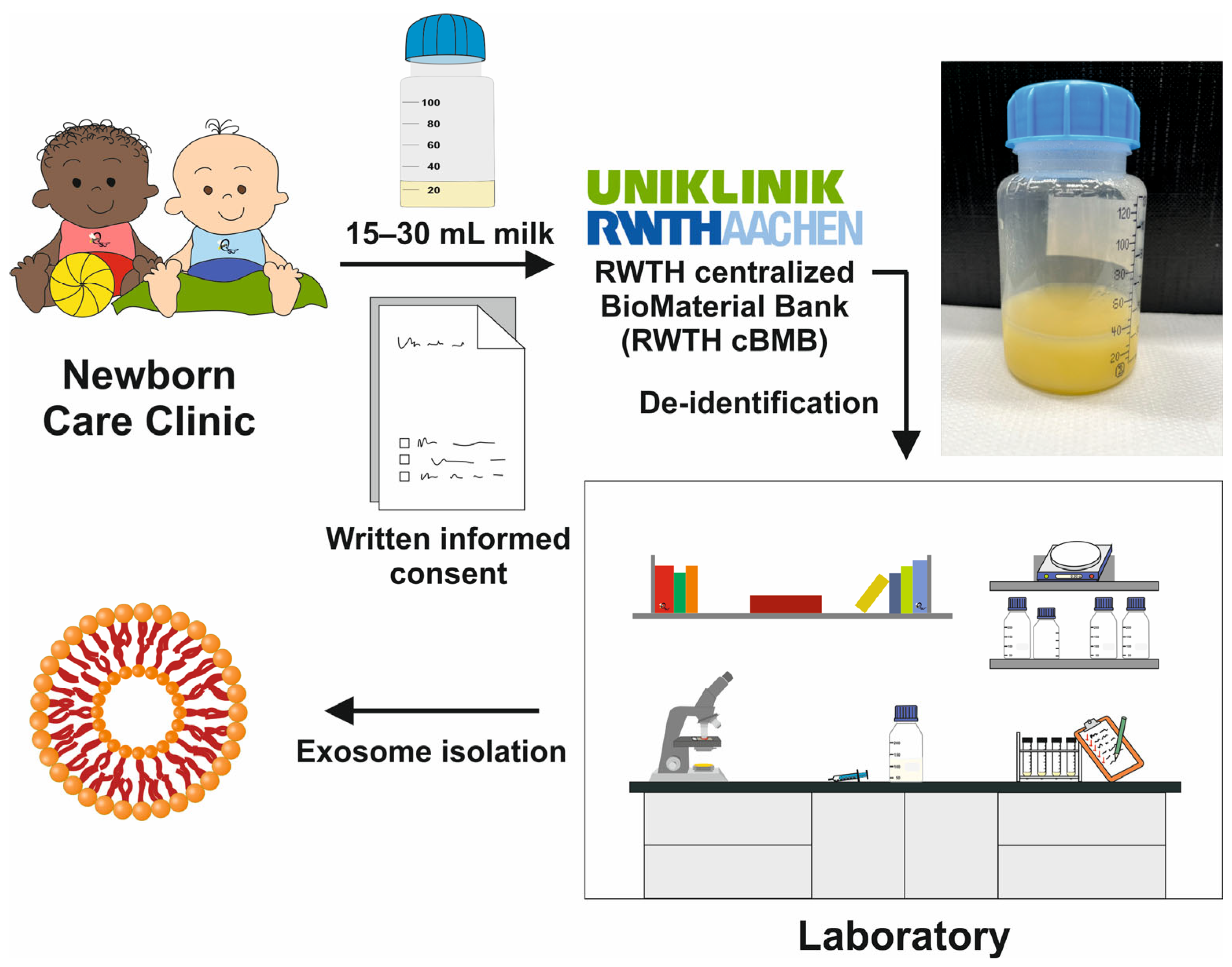 Biomedicines 11 02715 g003