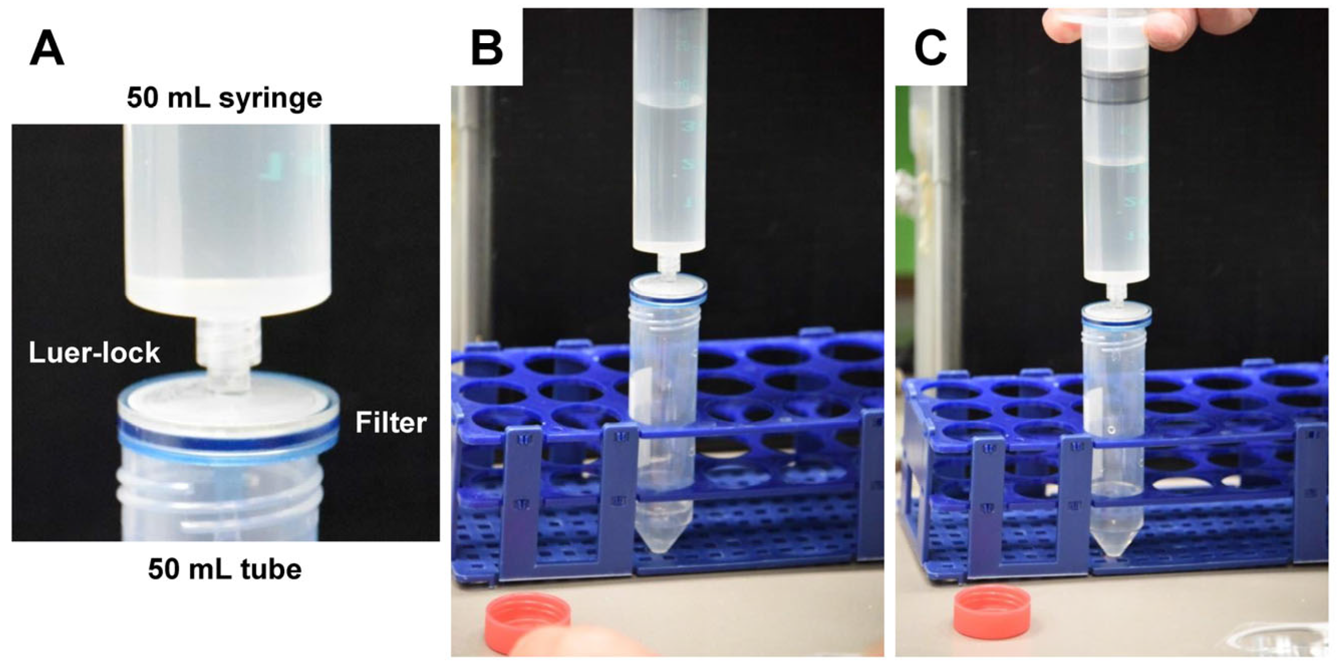 Biomedicines 11 02715 g009
