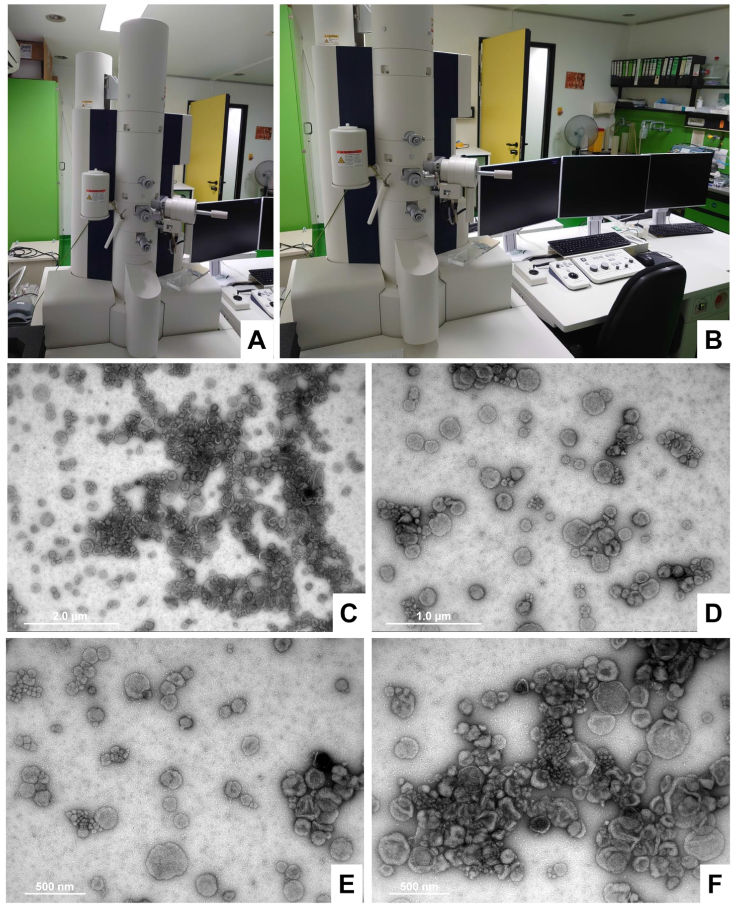 Biomedicines 11 02715 g014