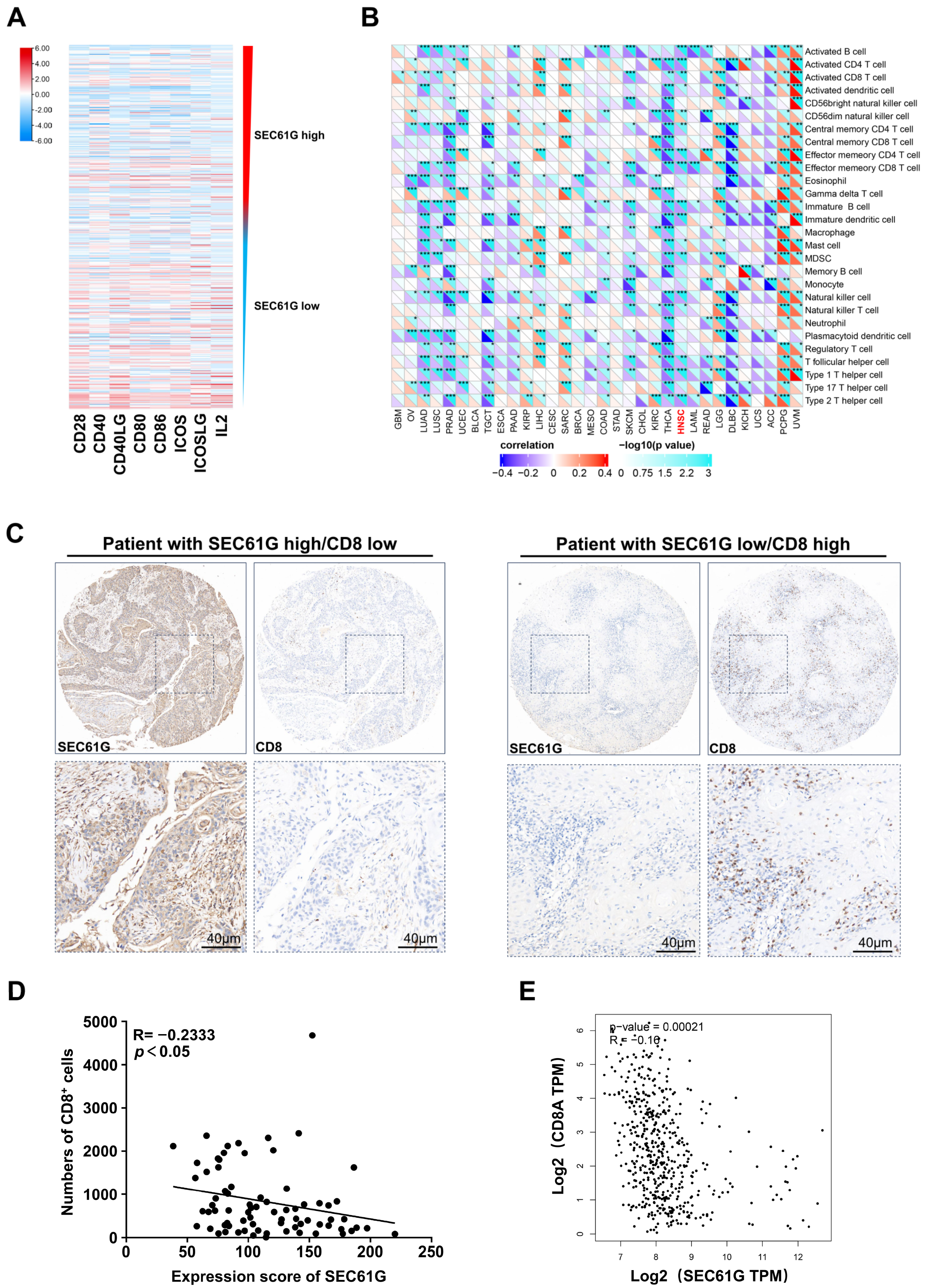Biomedicines 11 02718 g003