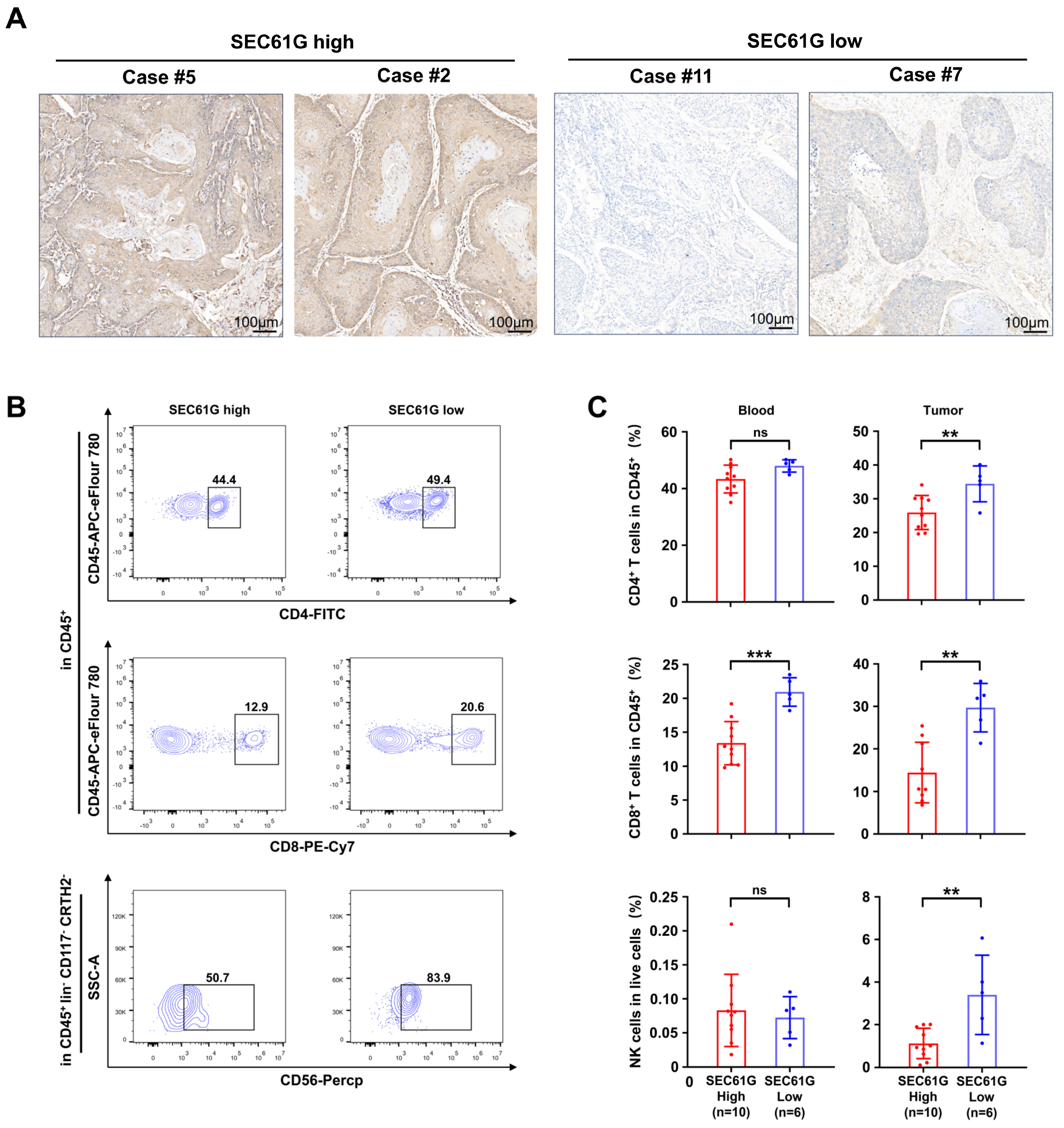 Biomedicines 11 02718 g004